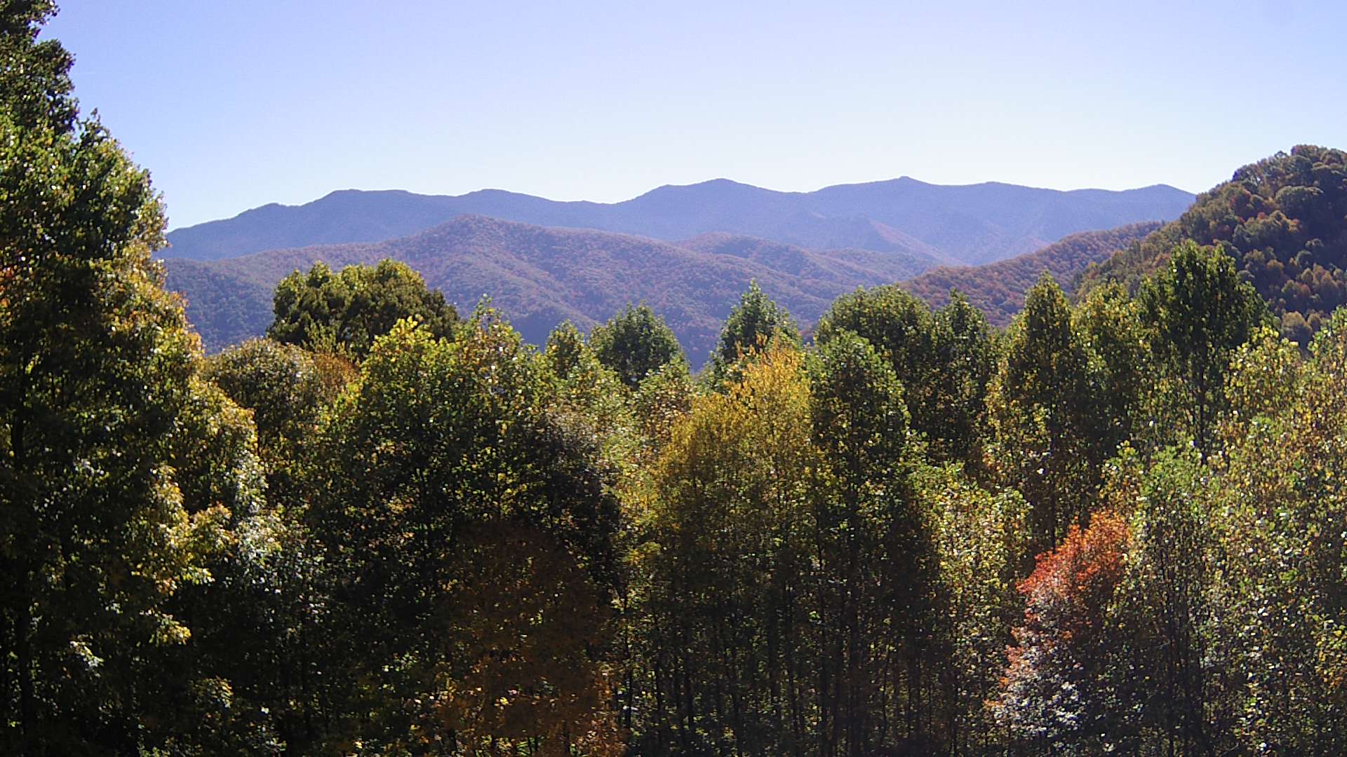 click for next image... slideshow image