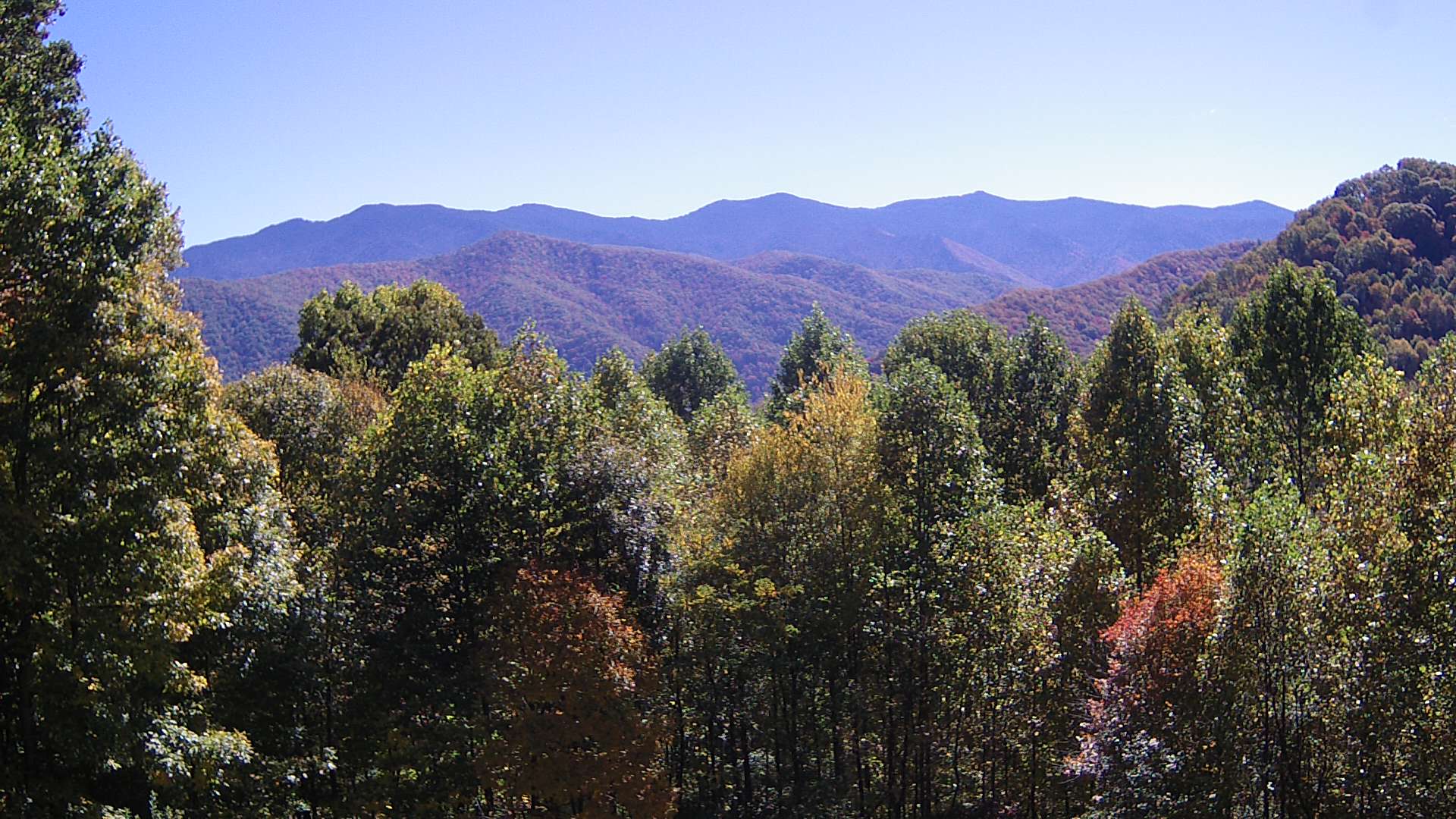 click for next image... slideshow image