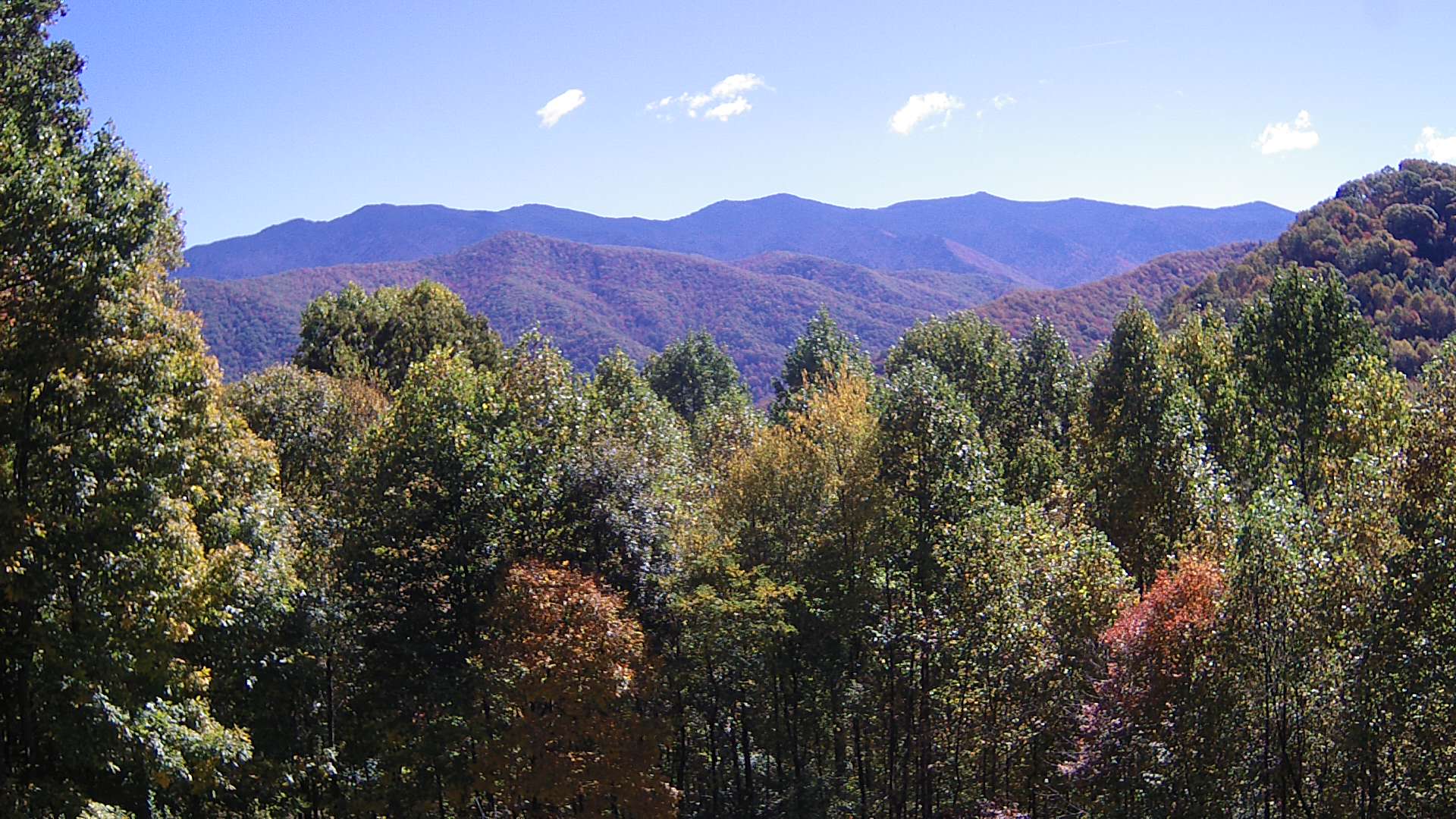 click for next image... slideshow image