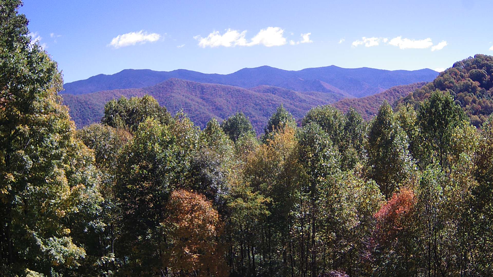 click for next image... slideshow image