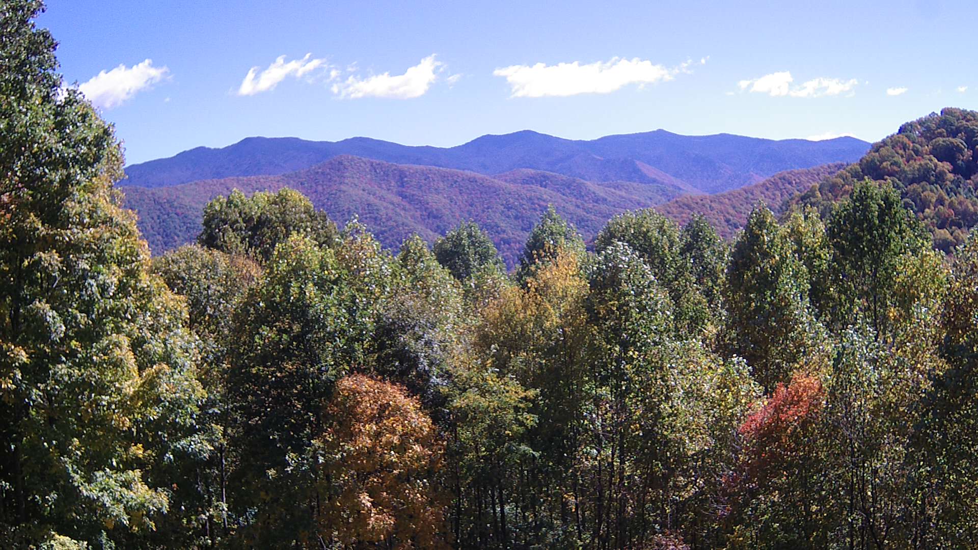 click for next image... slideshow image