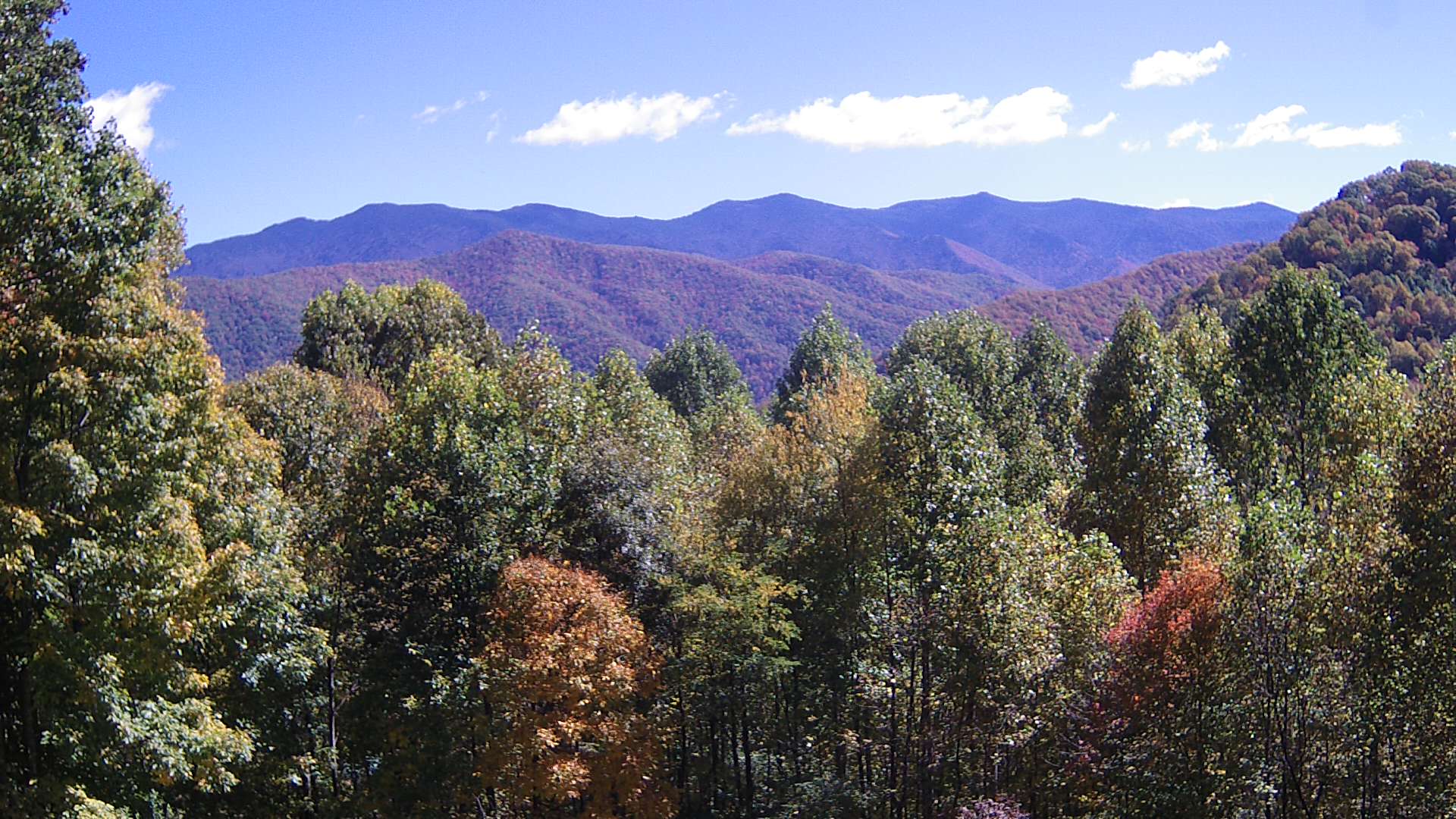 click for next image... slideshow image