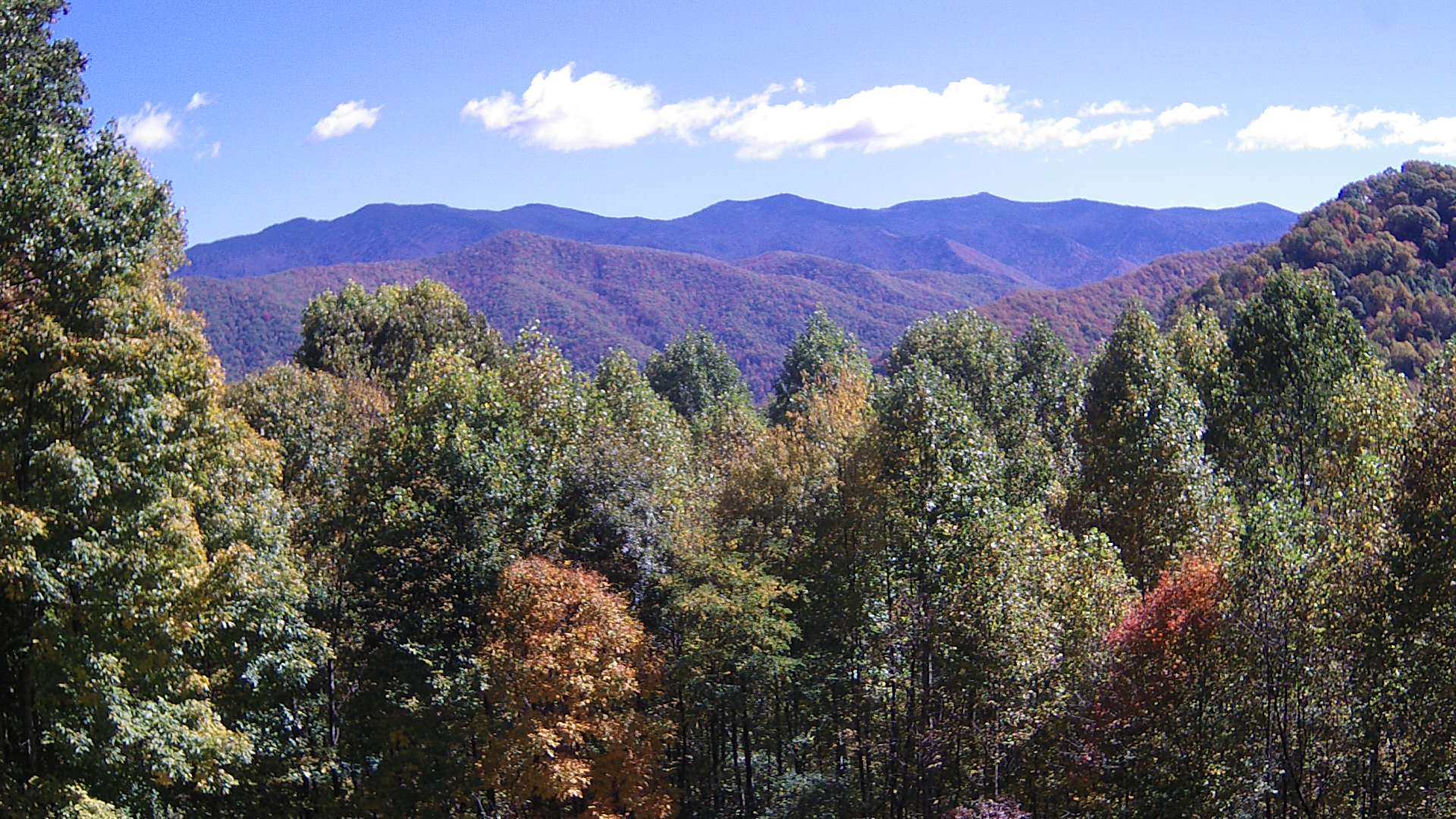 click for next image... slideshow image