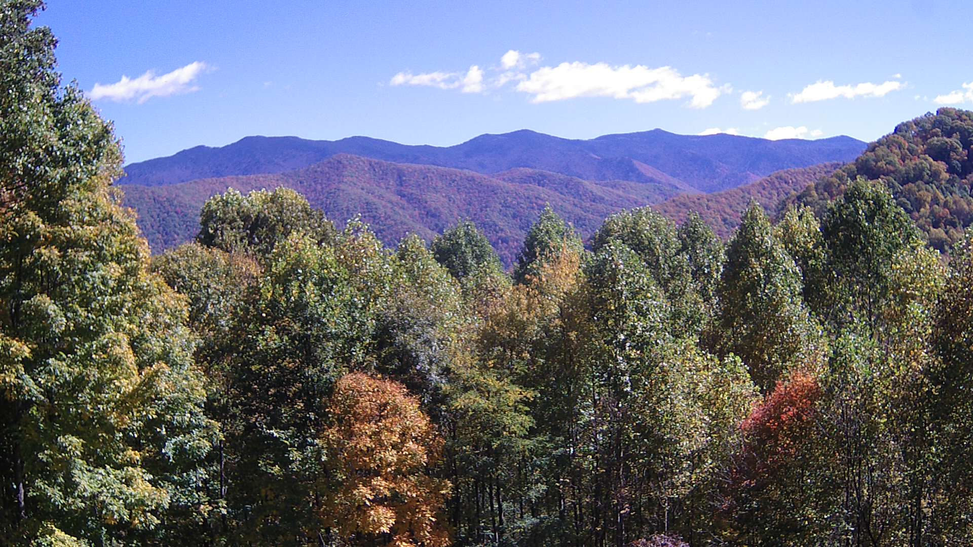 click for next image... slideshow image