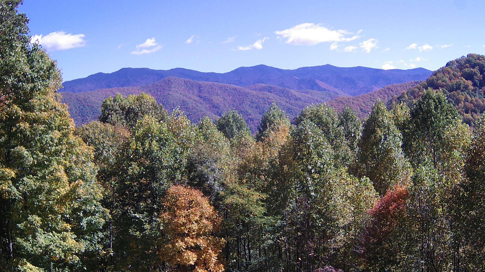 click for next image... slideshow image