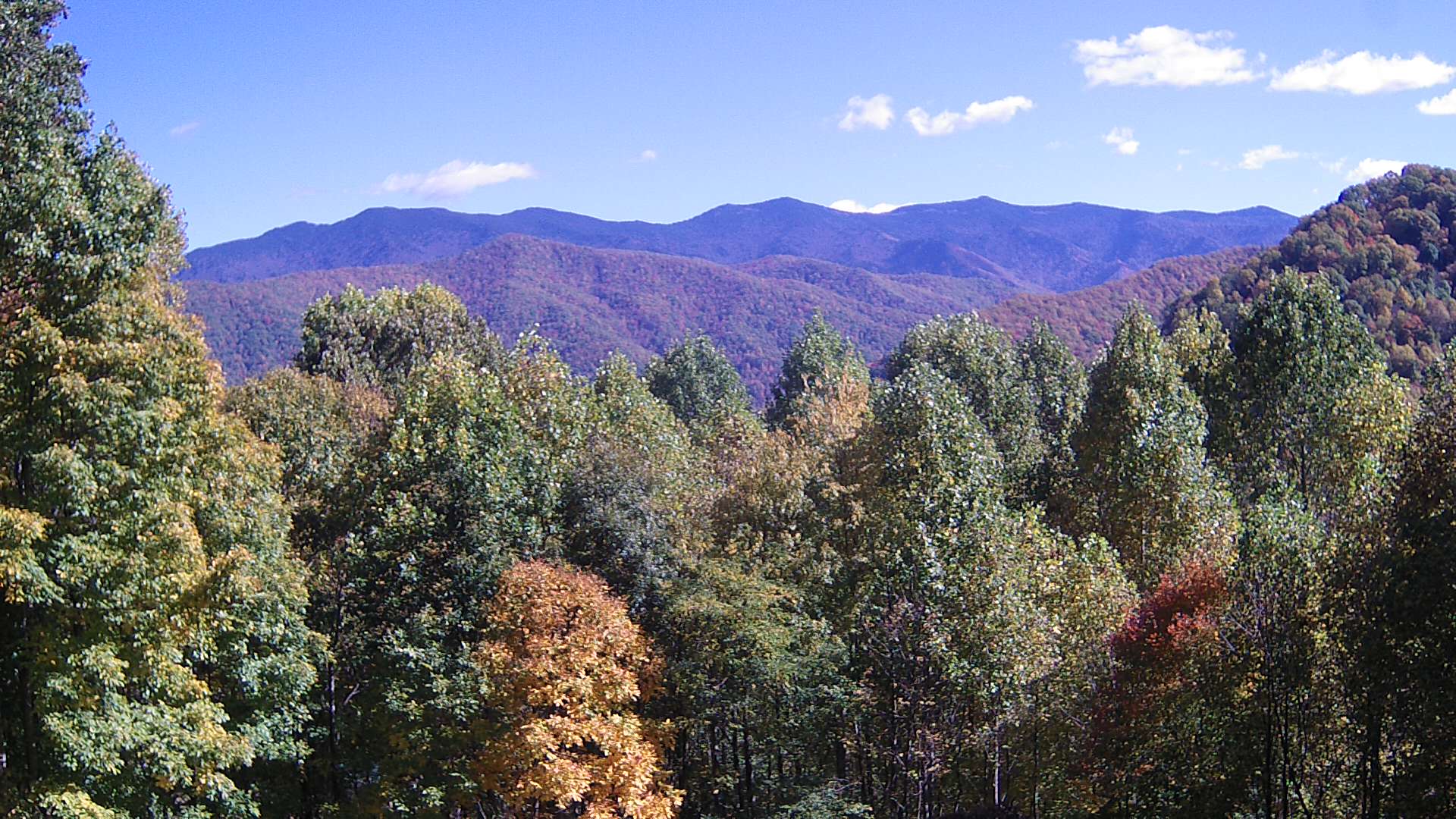 click for next image... slideshow image