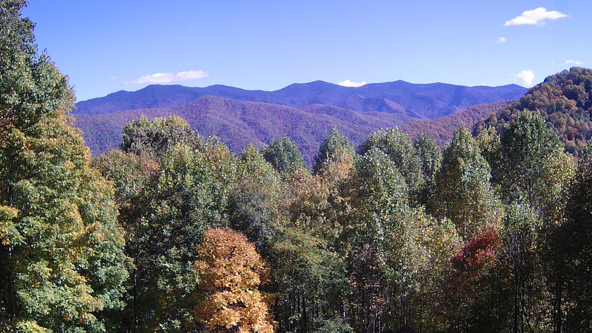 click for next image... slideshow image