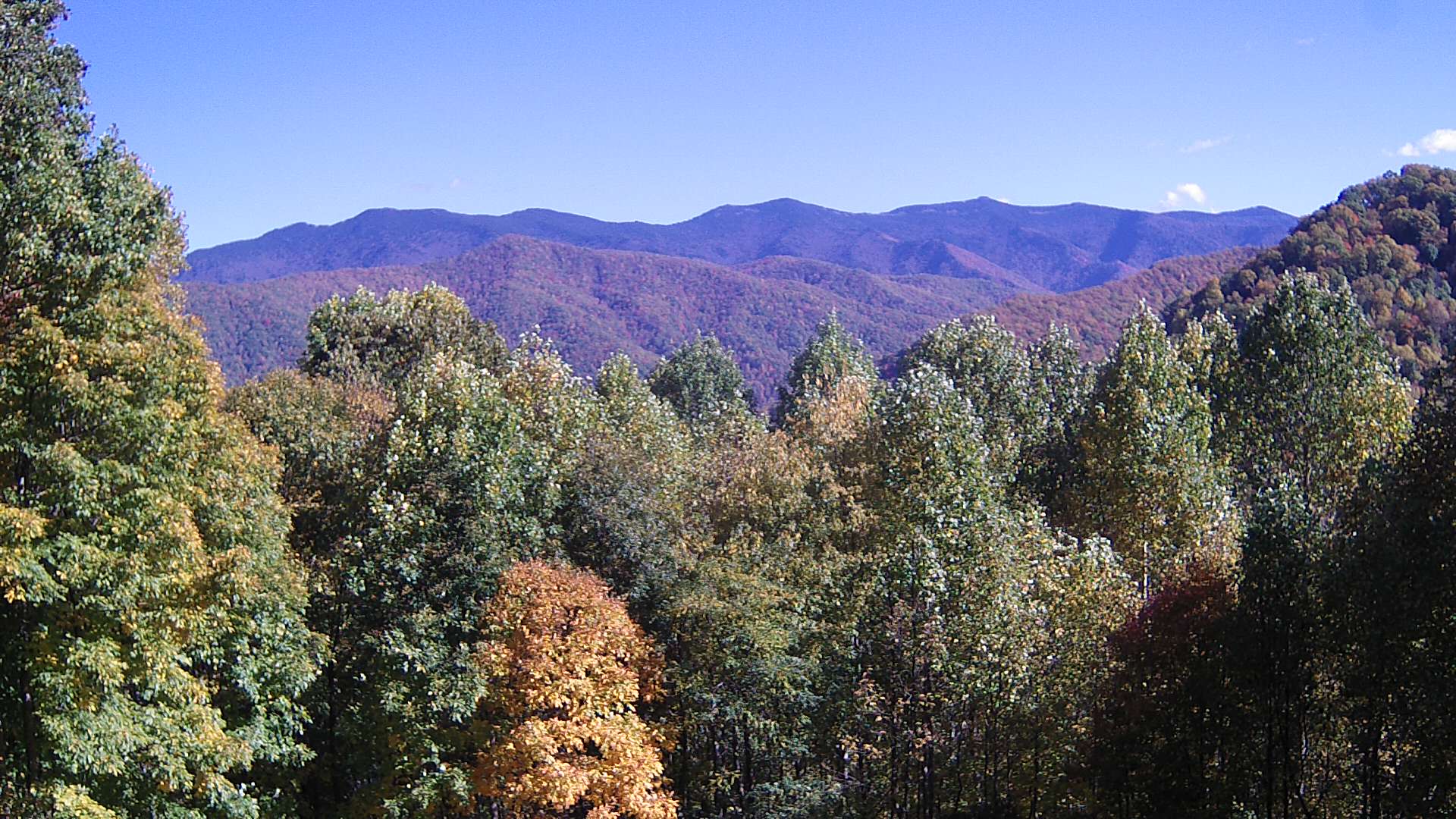 click for next image... slideshow image