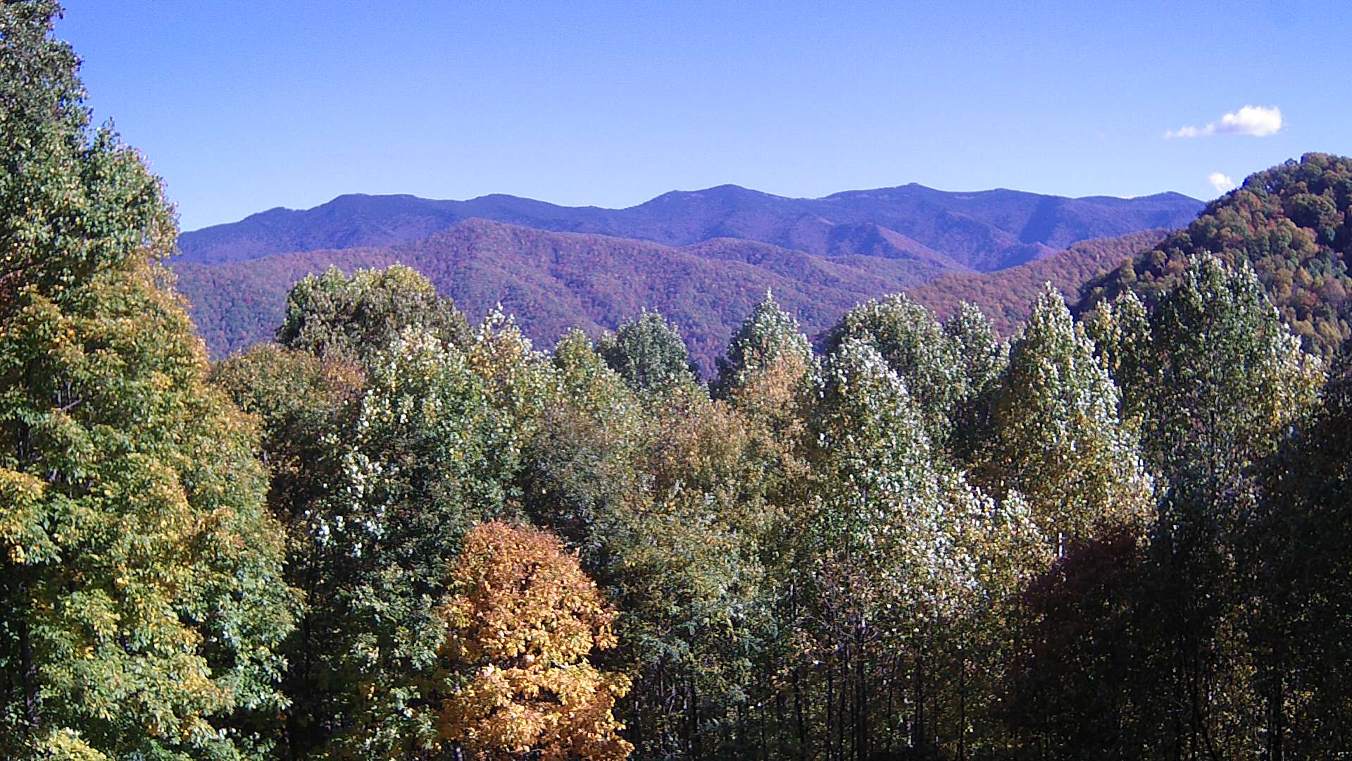 click for next image... slideshow image