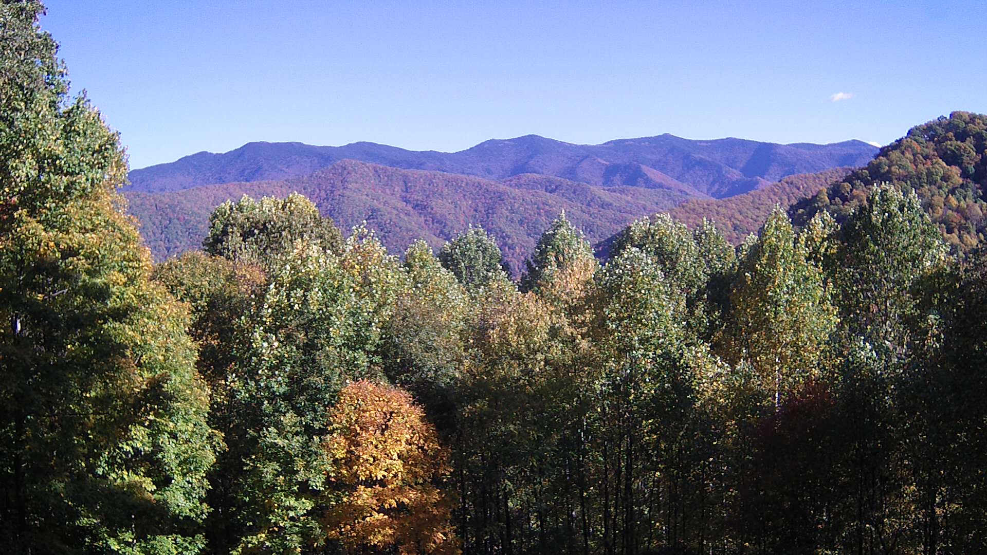 click for next image... slideshow image