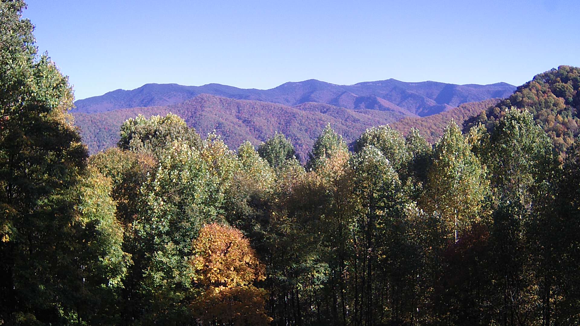 click for next image... slideshow image