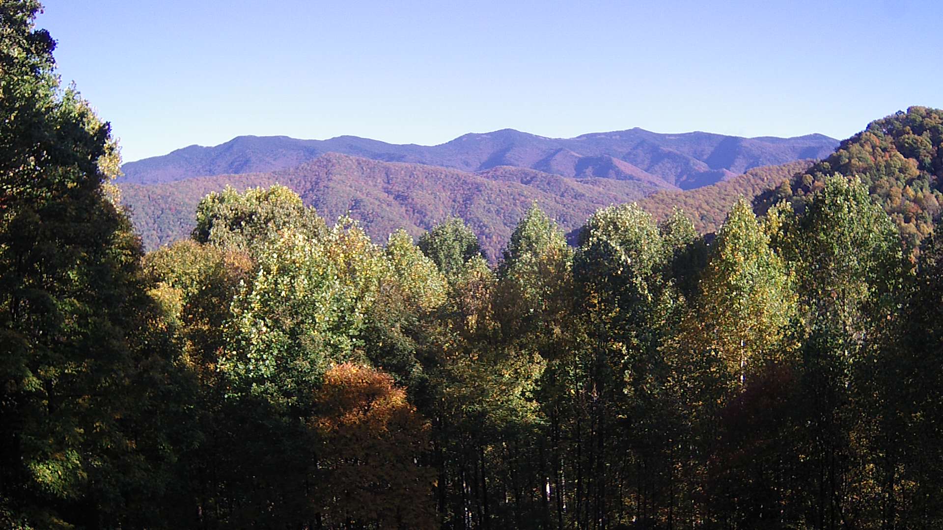 click for next image... slideshow image