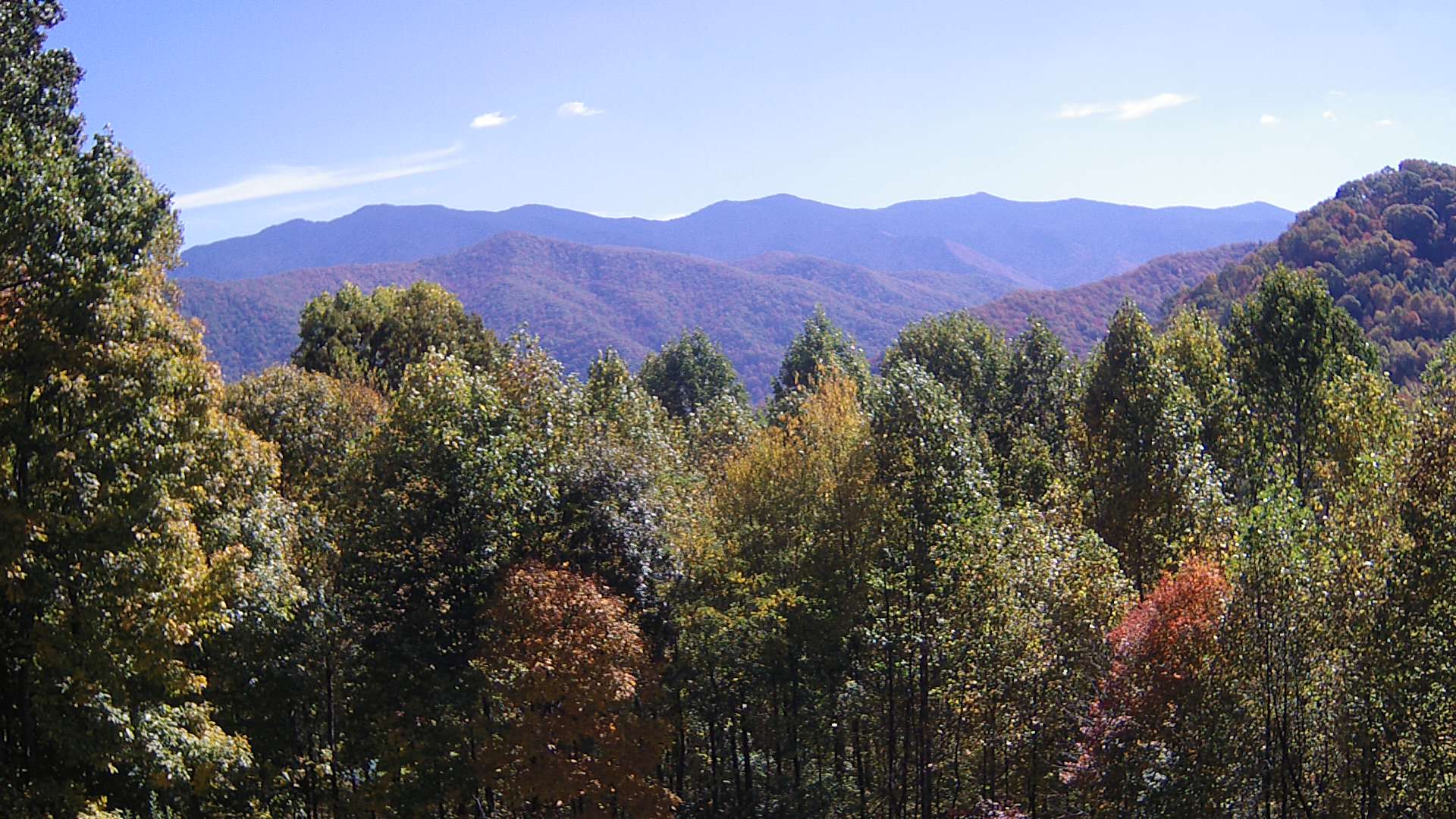 click for next image... slideshow image