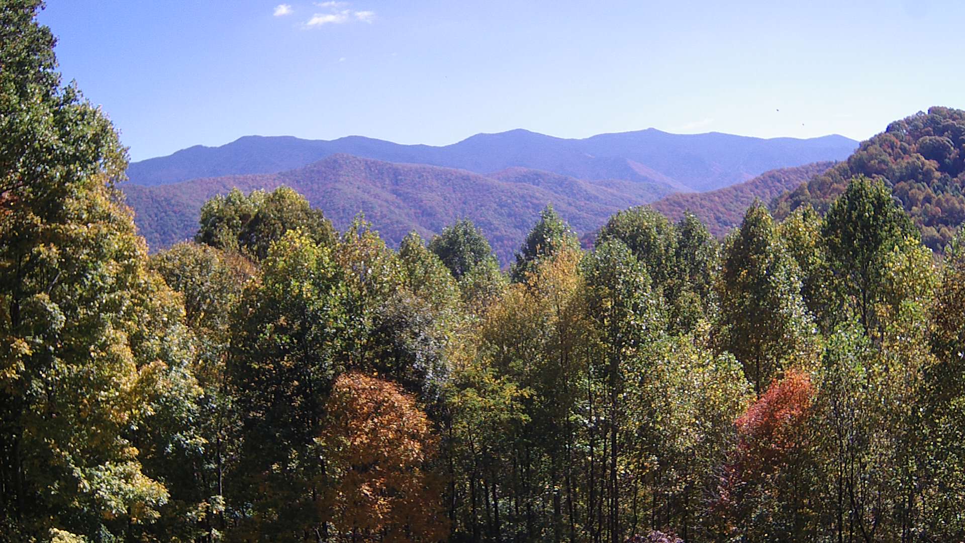 click for next image... slideshow image