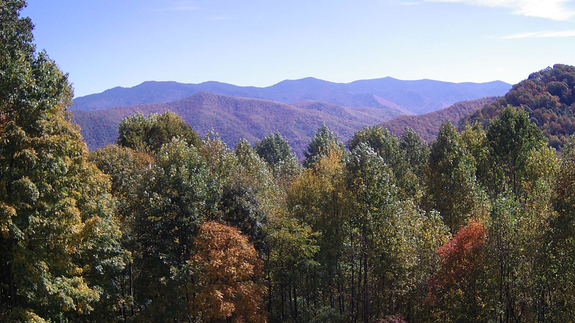 click for next image... slideshow image