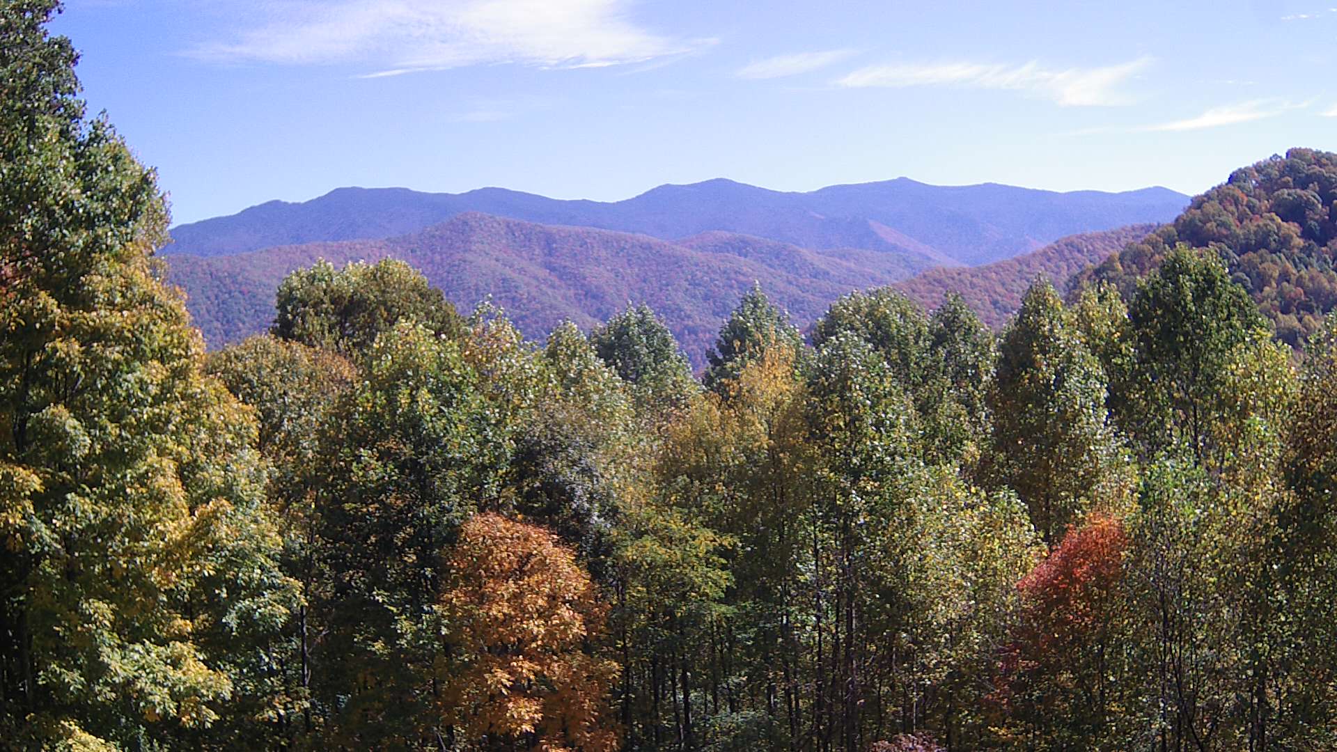 click for next image... slideshow image