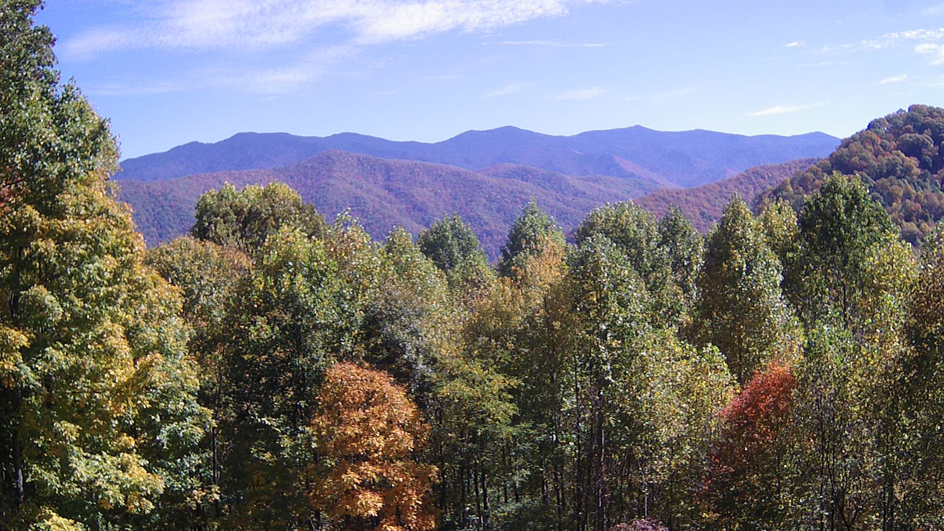 click for next image... slideshow image