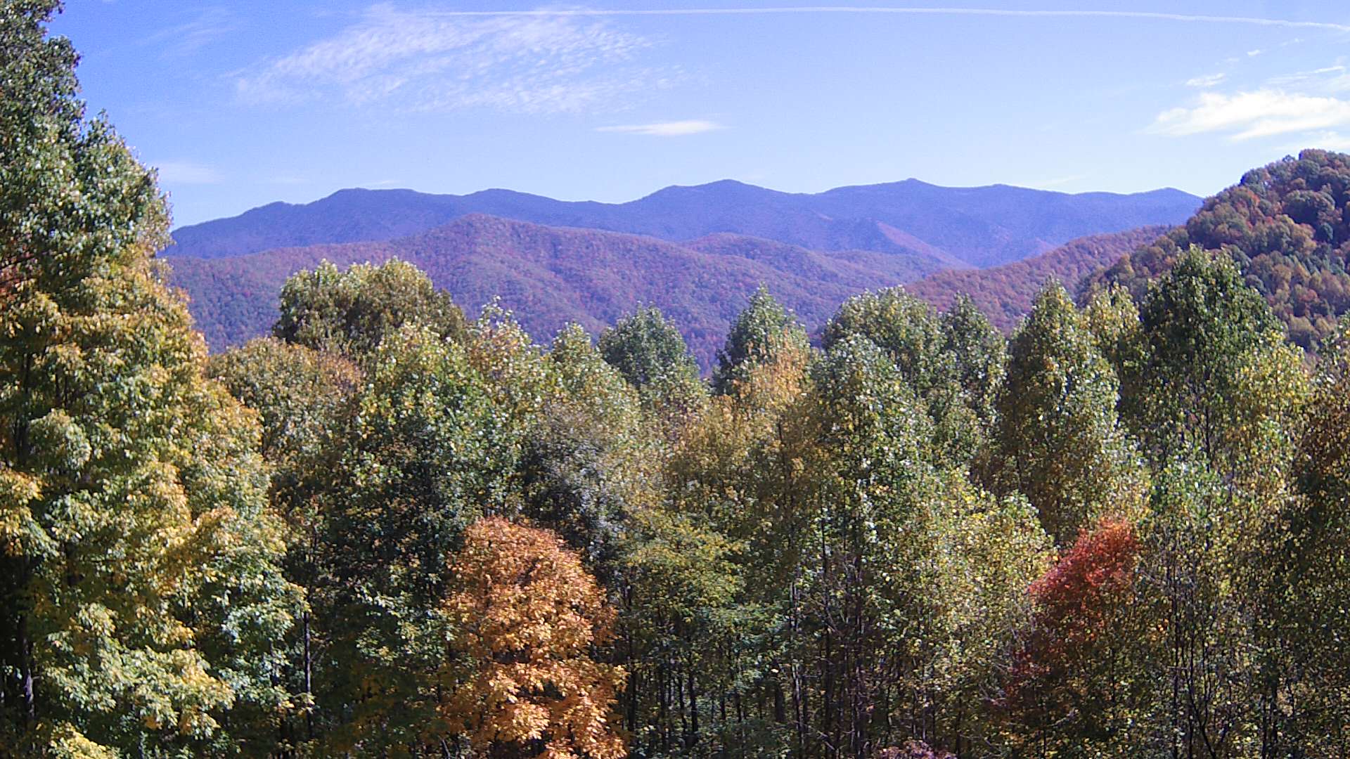 click for next image... slideshow image