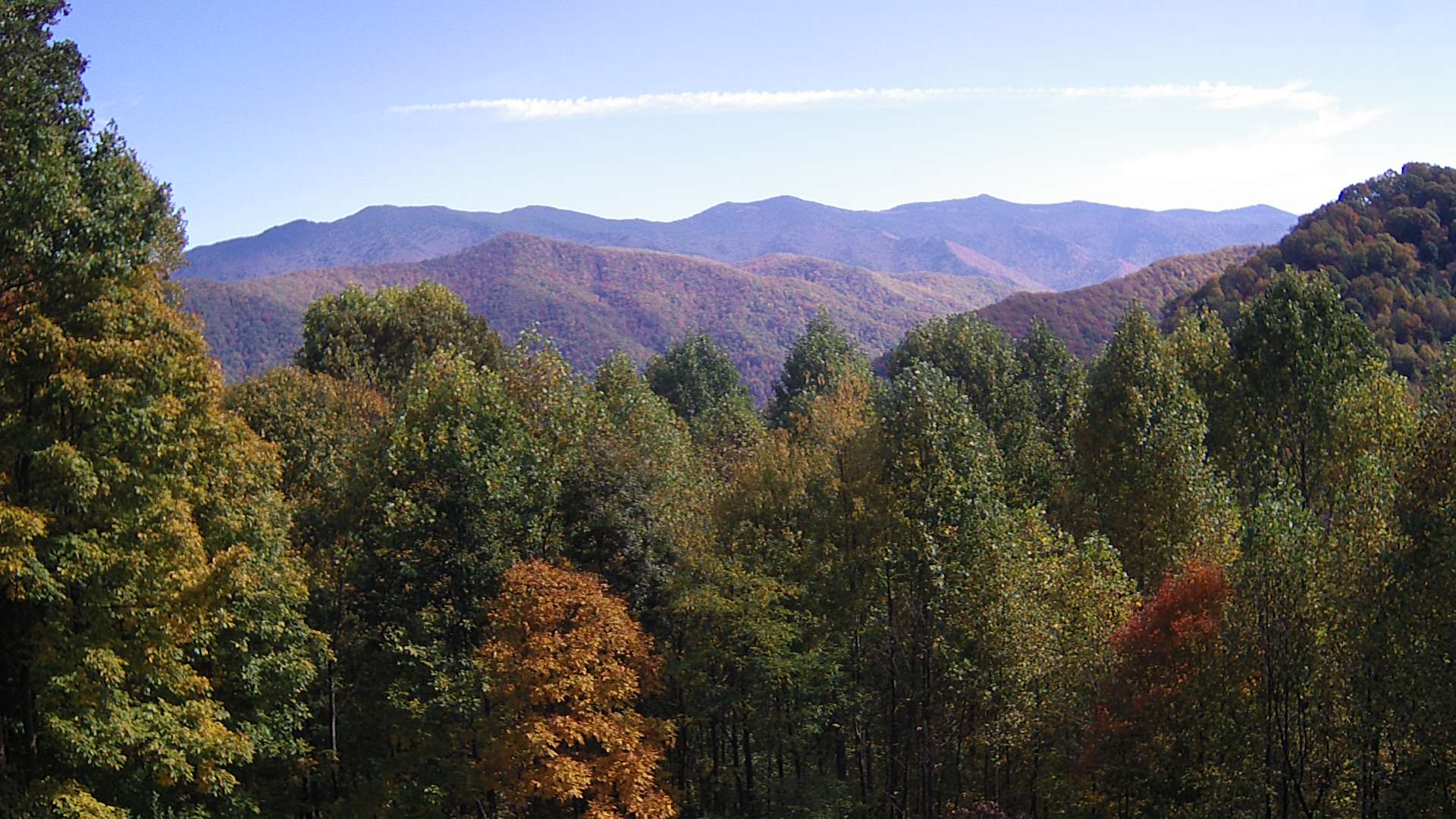 click for next image... slideshow image