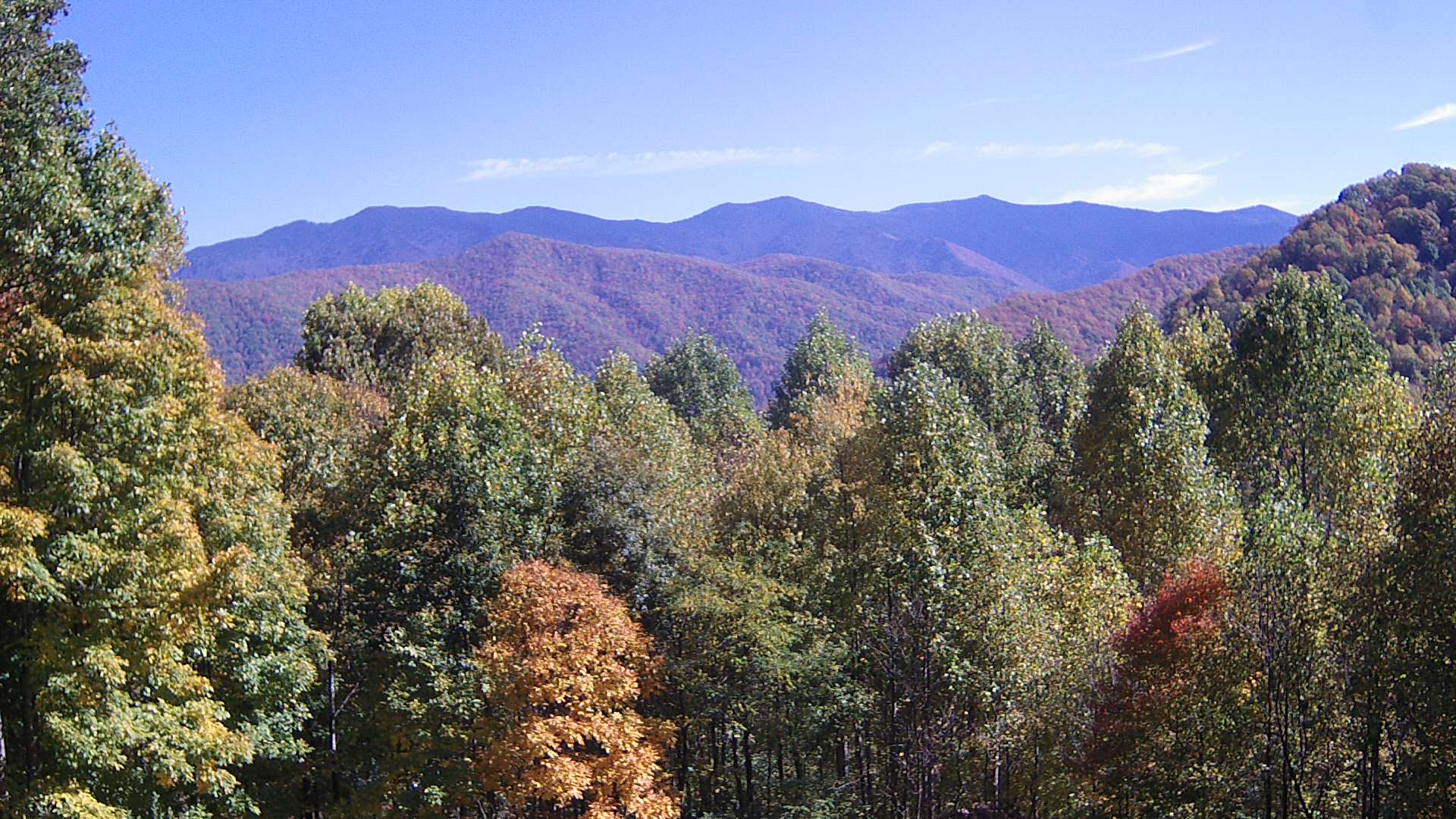 click for next image... slideshow image