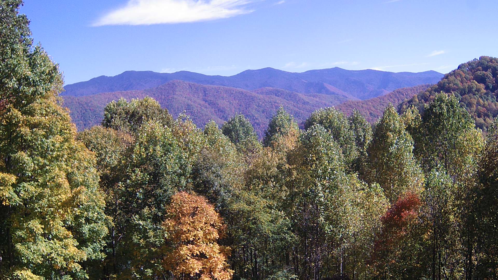 click for next image... slideshow image