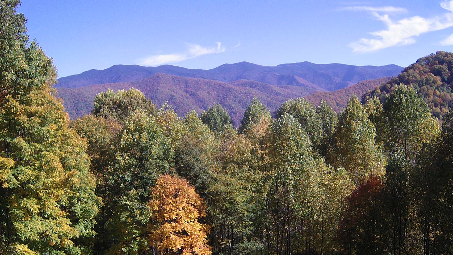 click for next image... slideshow image