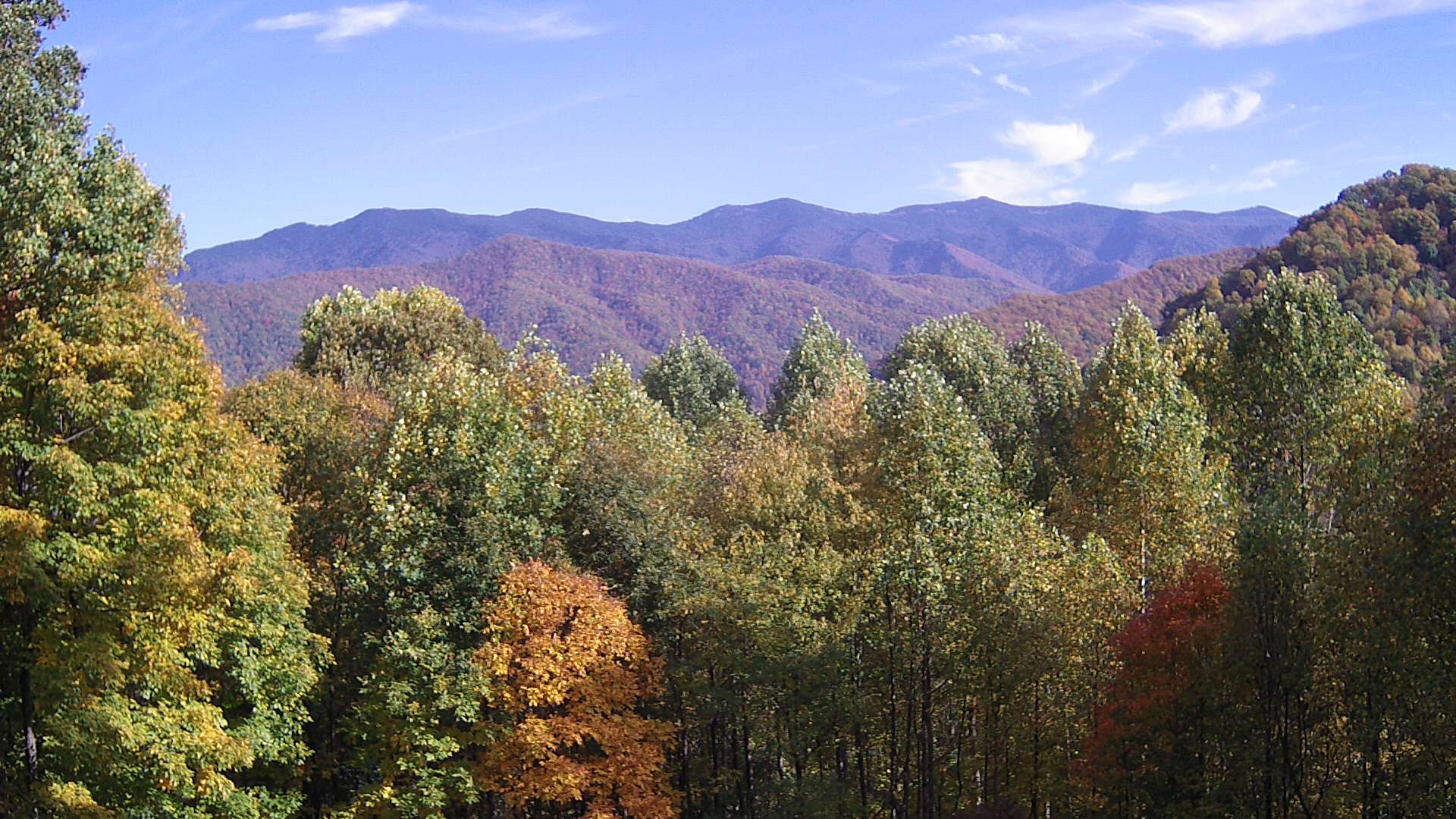 click for next image... slideshow image