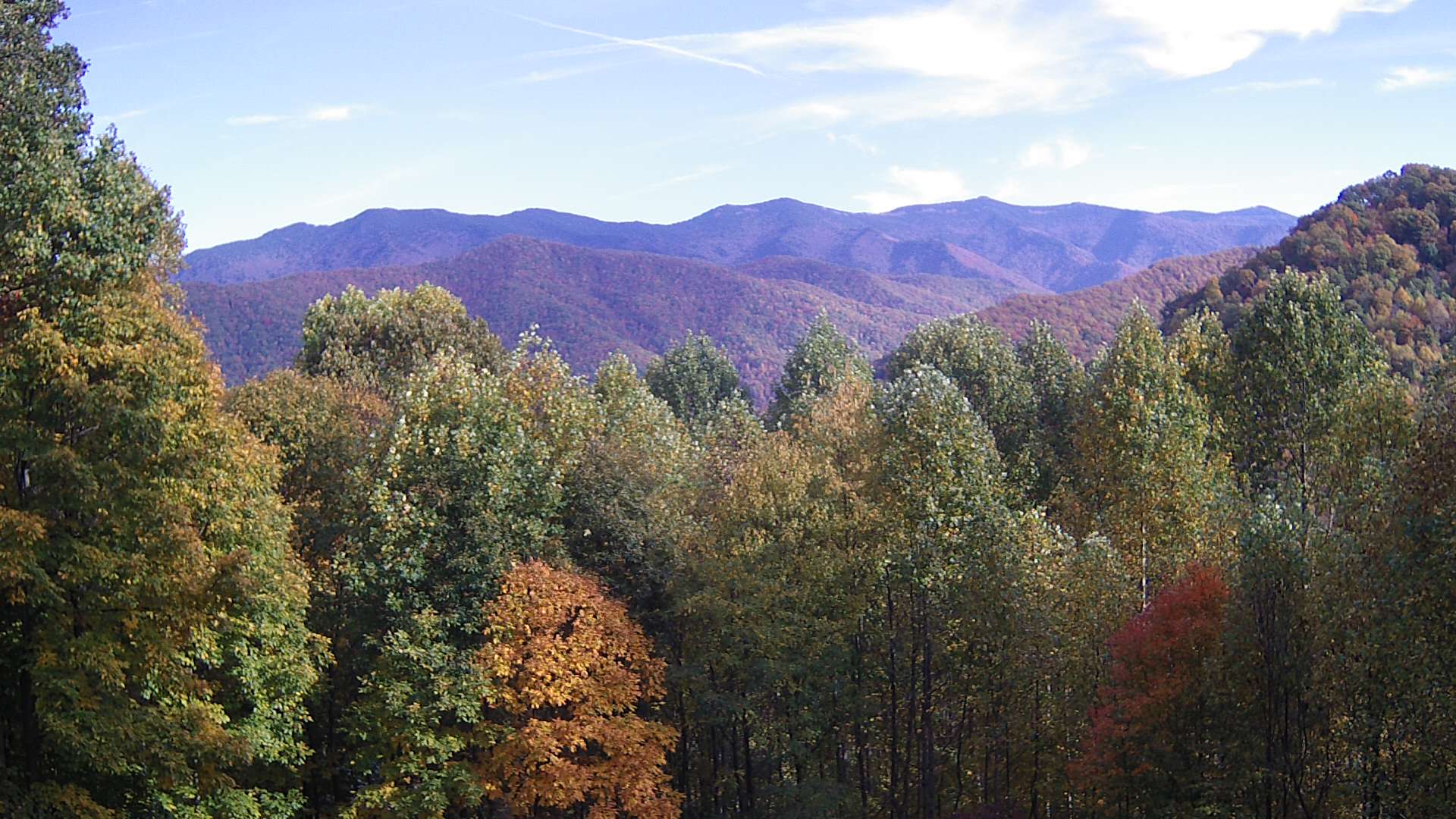 click for next image... slideshow image