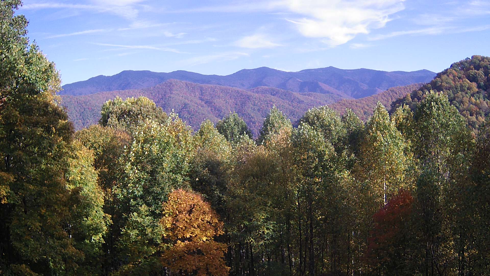 click for next image... slideshow image