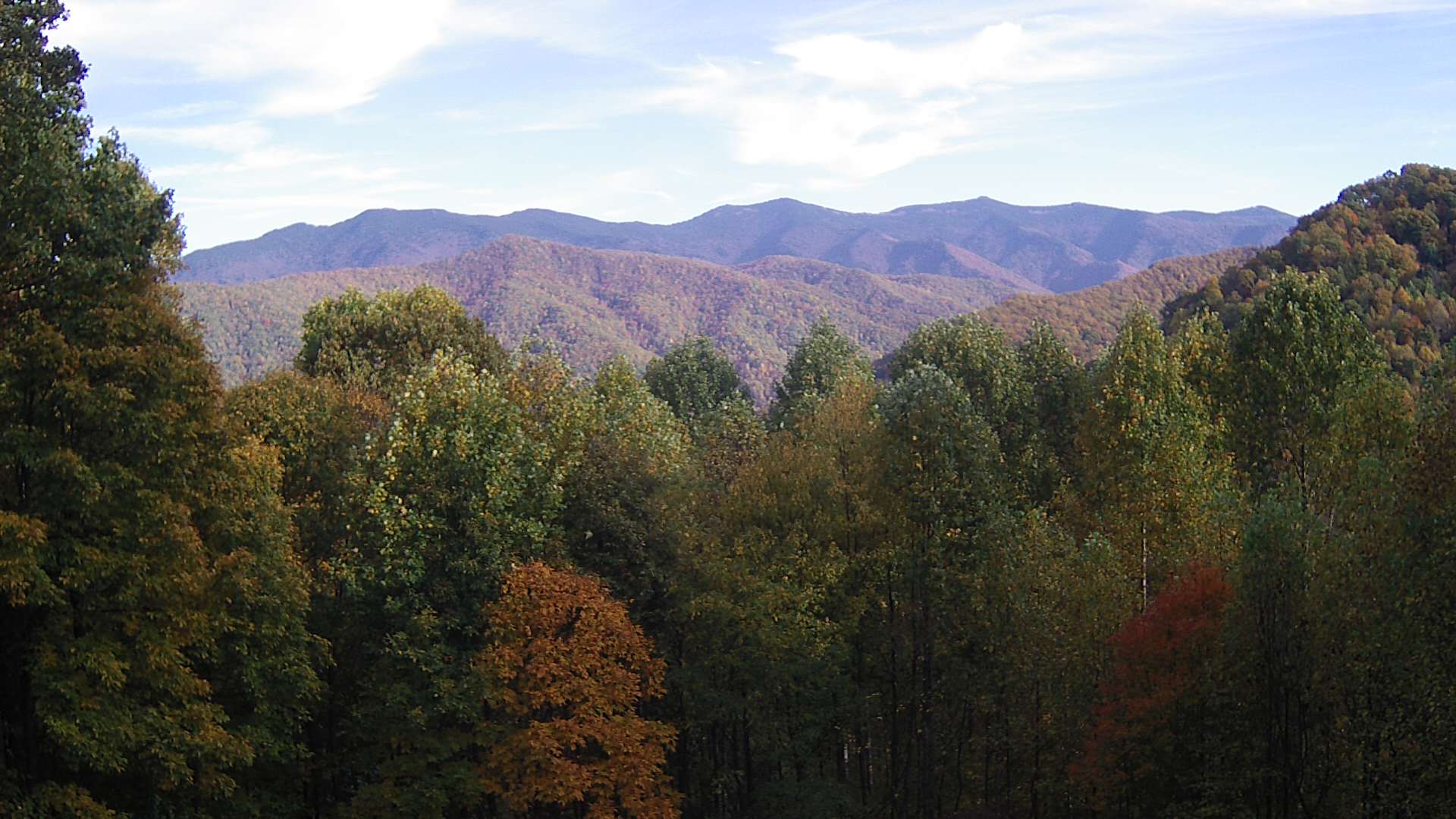 click for next image... slideshow image