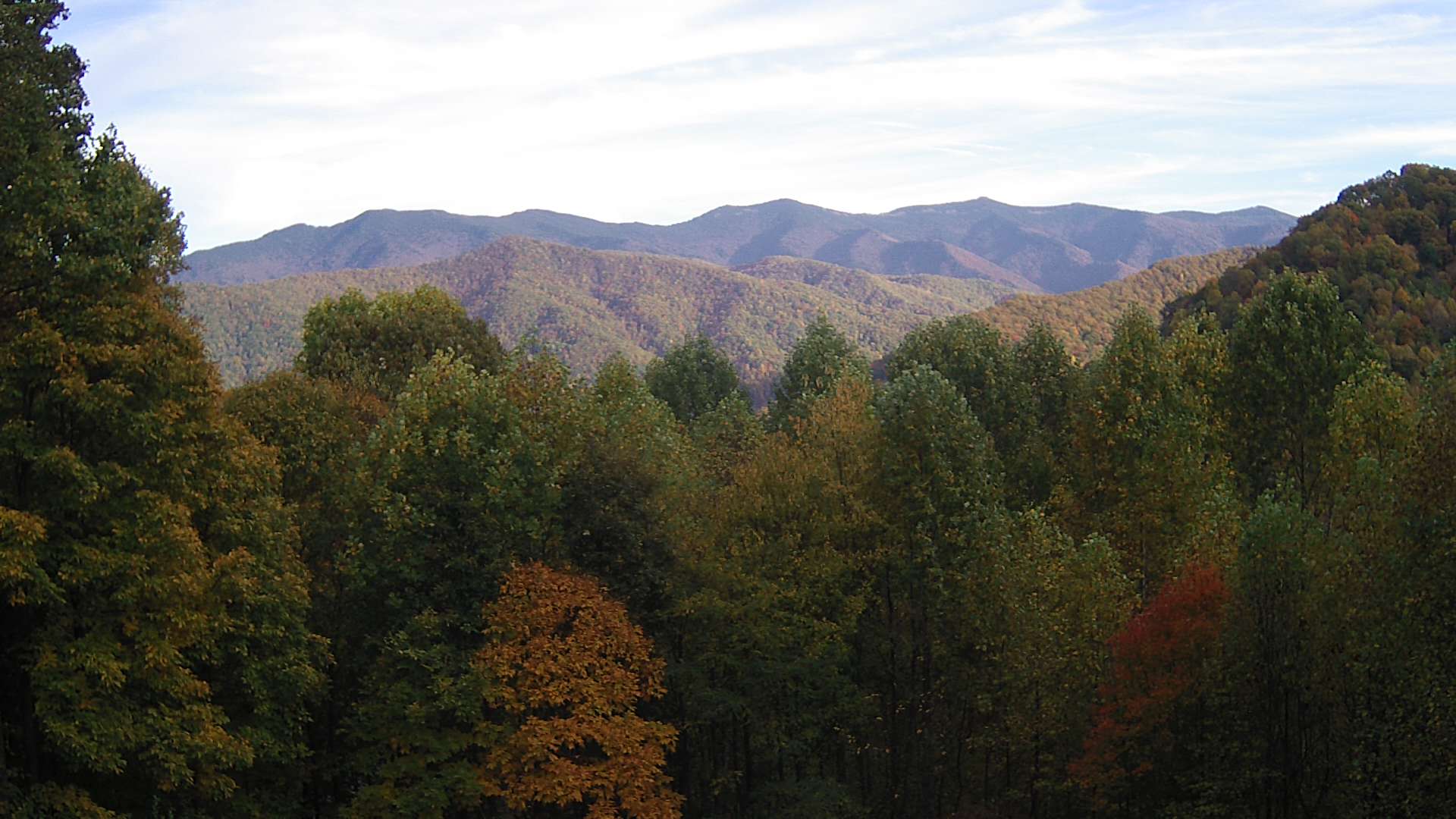 click for next image... slideshow image