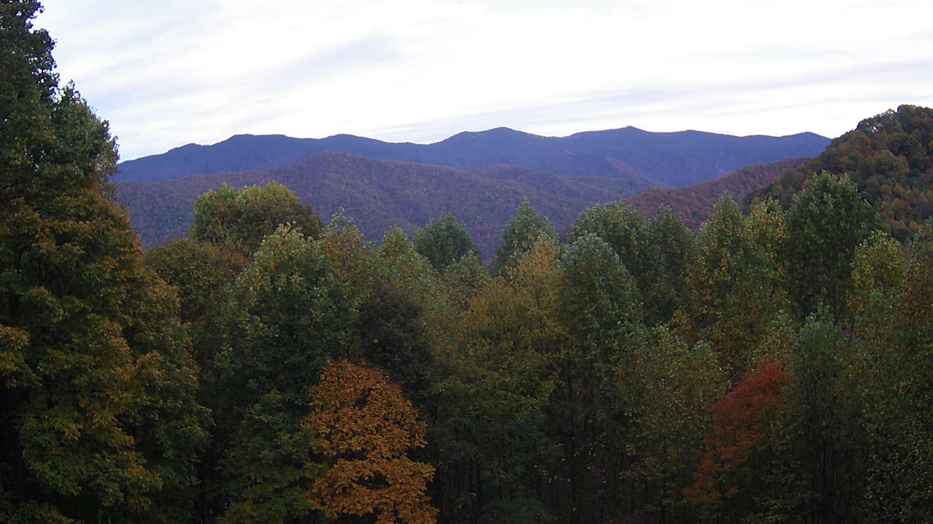 click for next image... slideshow image