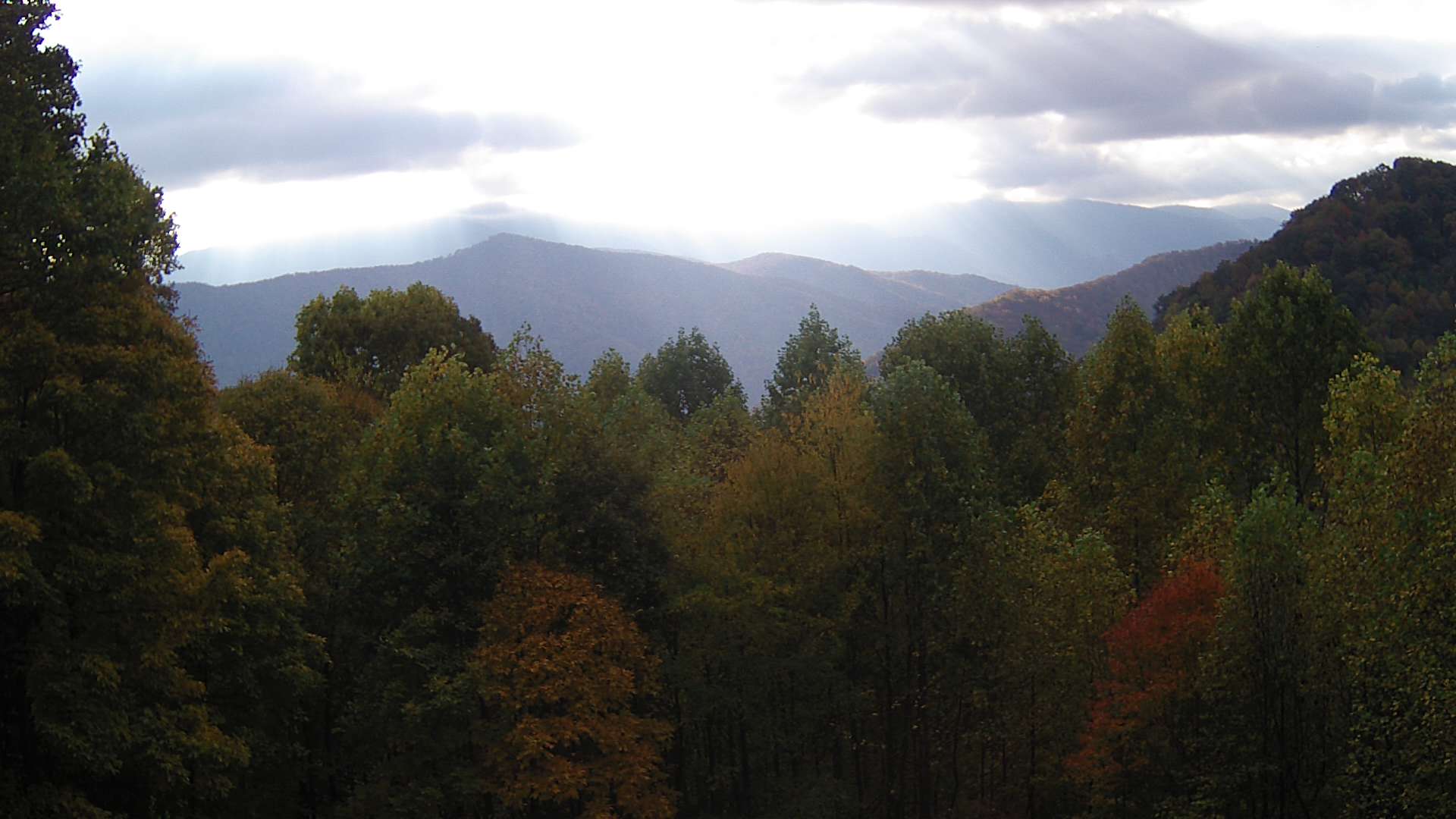 click for next image... slideshow image