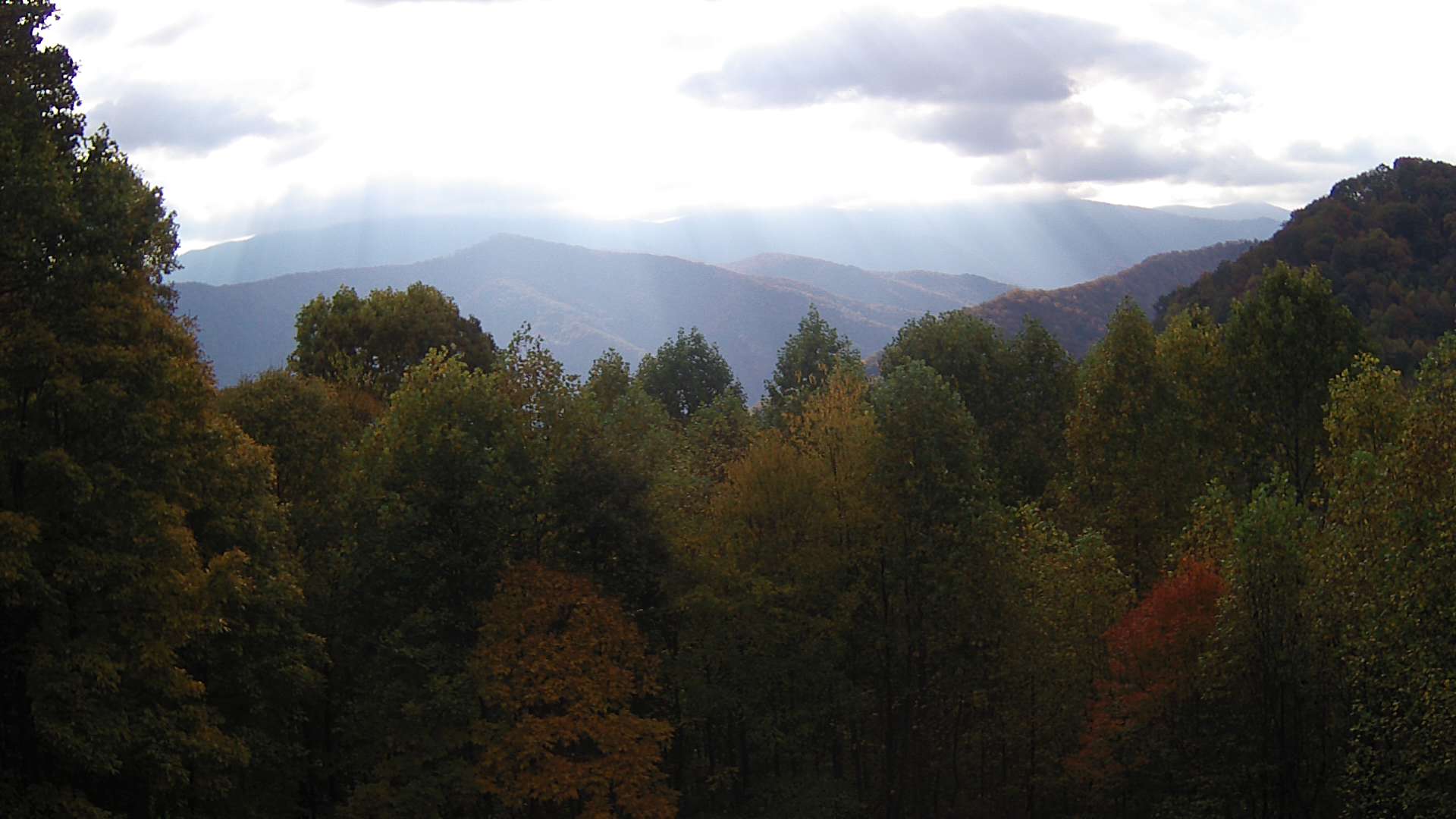 click for next image... slideshow image