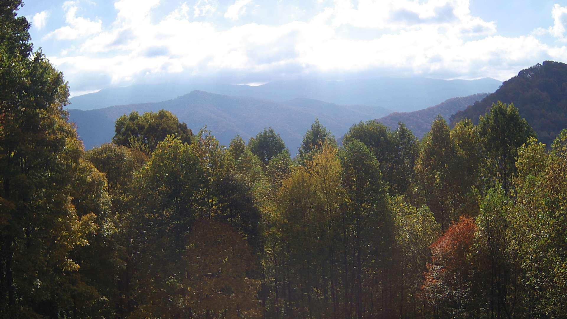 click for next image... slideshow image