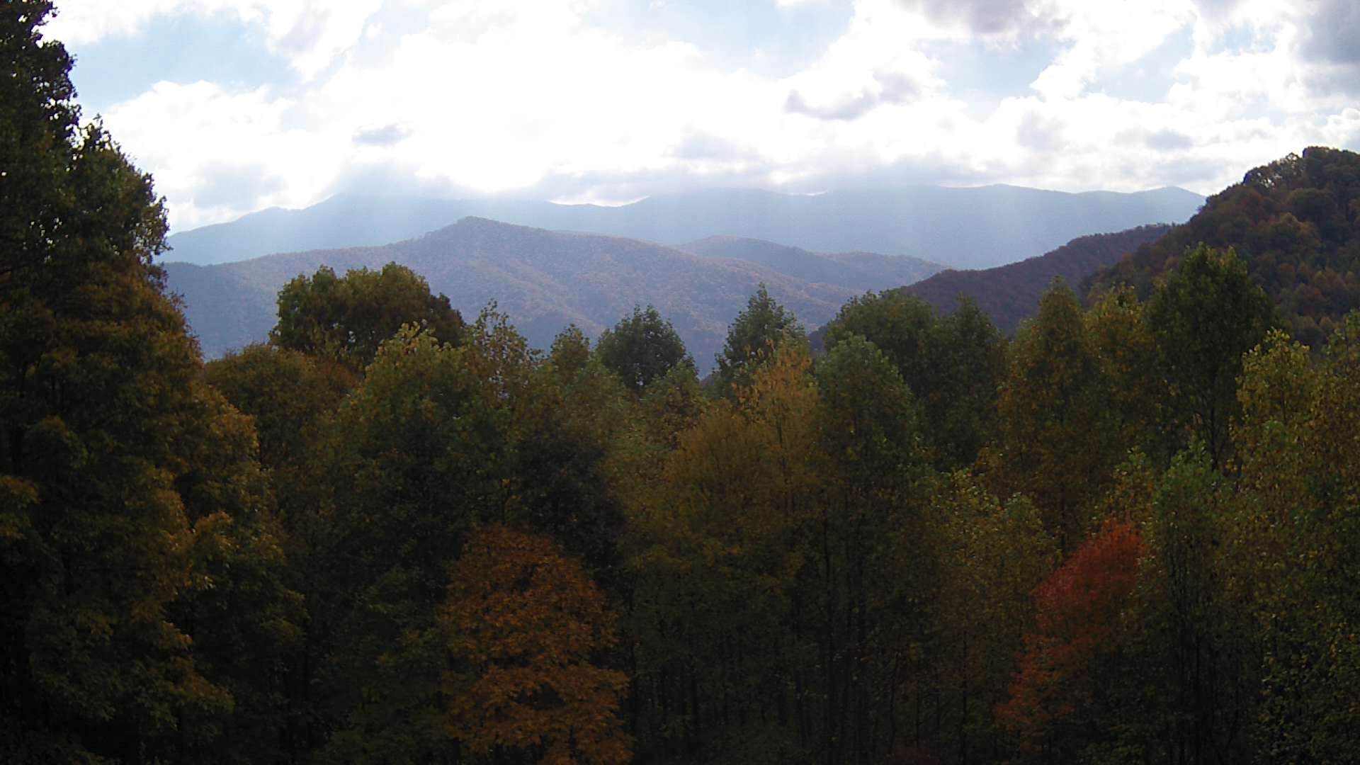 click for next image... slideshow image