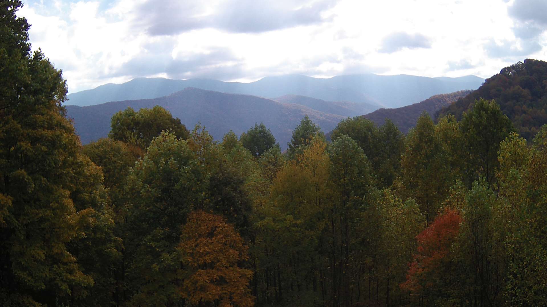 click for next image... slideshow image