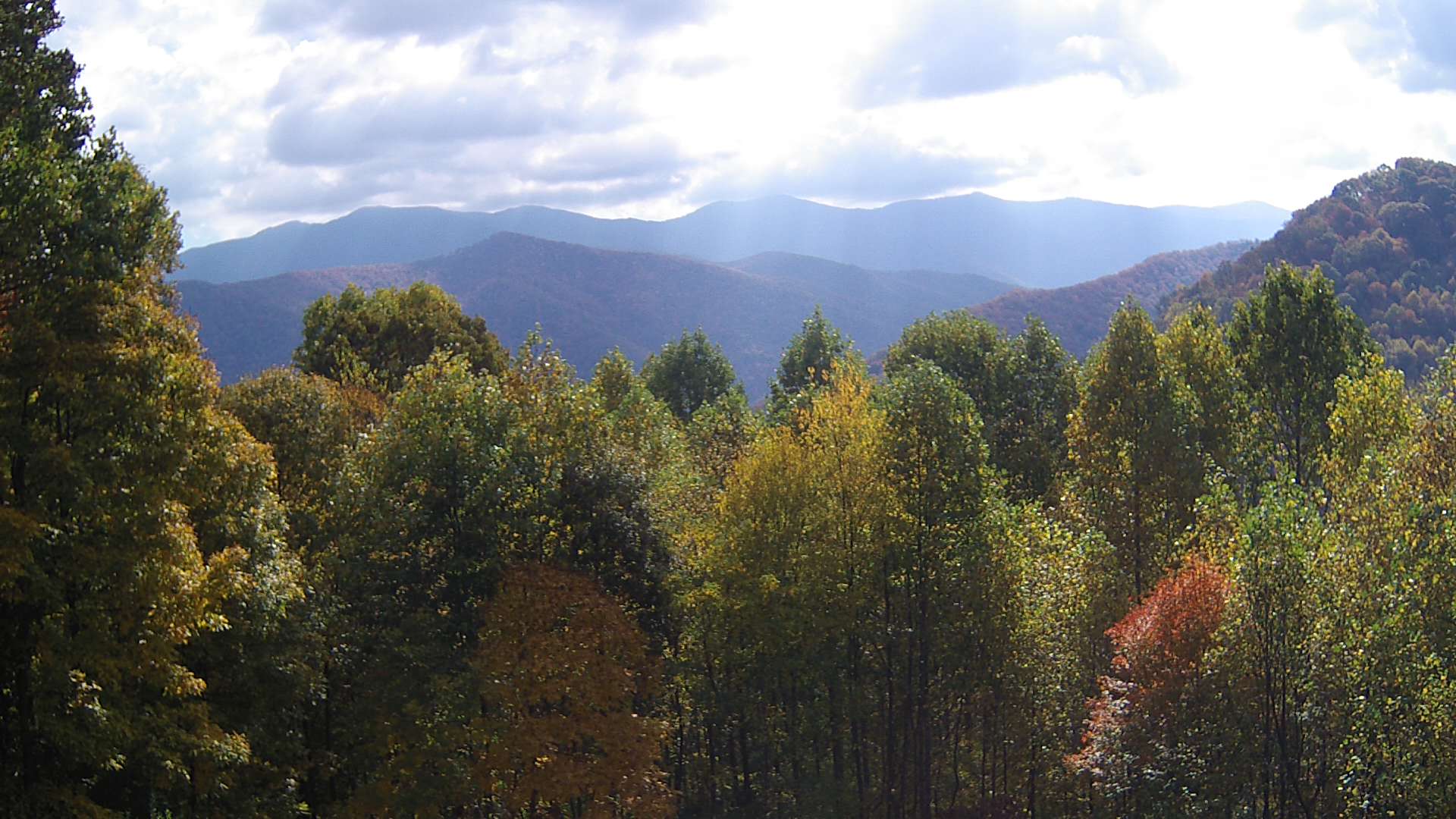 click for next image... slideshow image