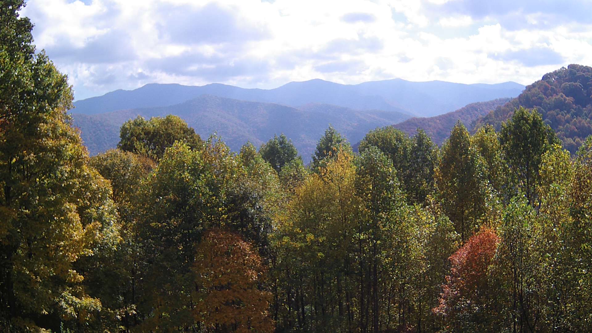 click for next image... slideshow image