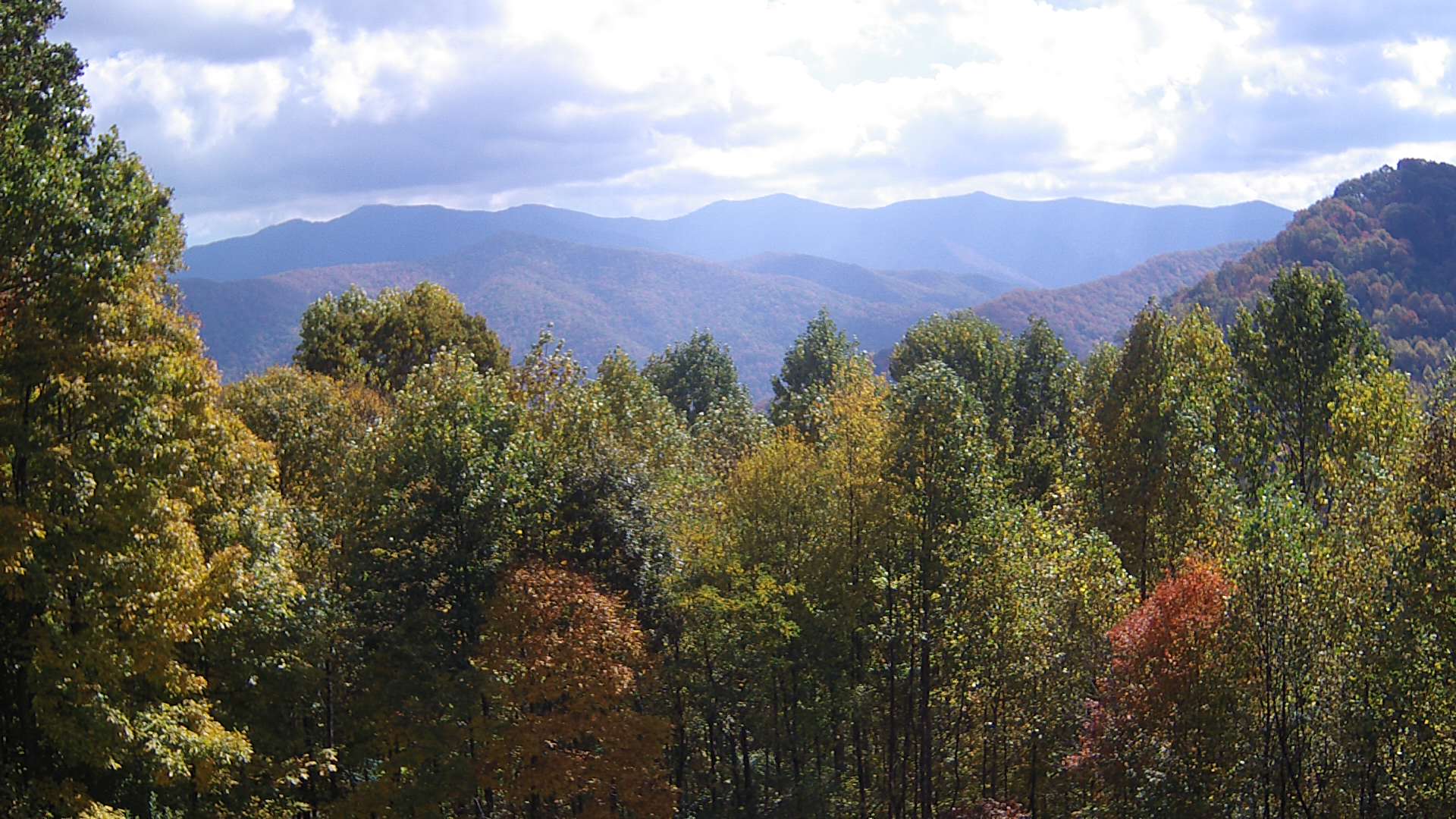 click for next image... slideshow image