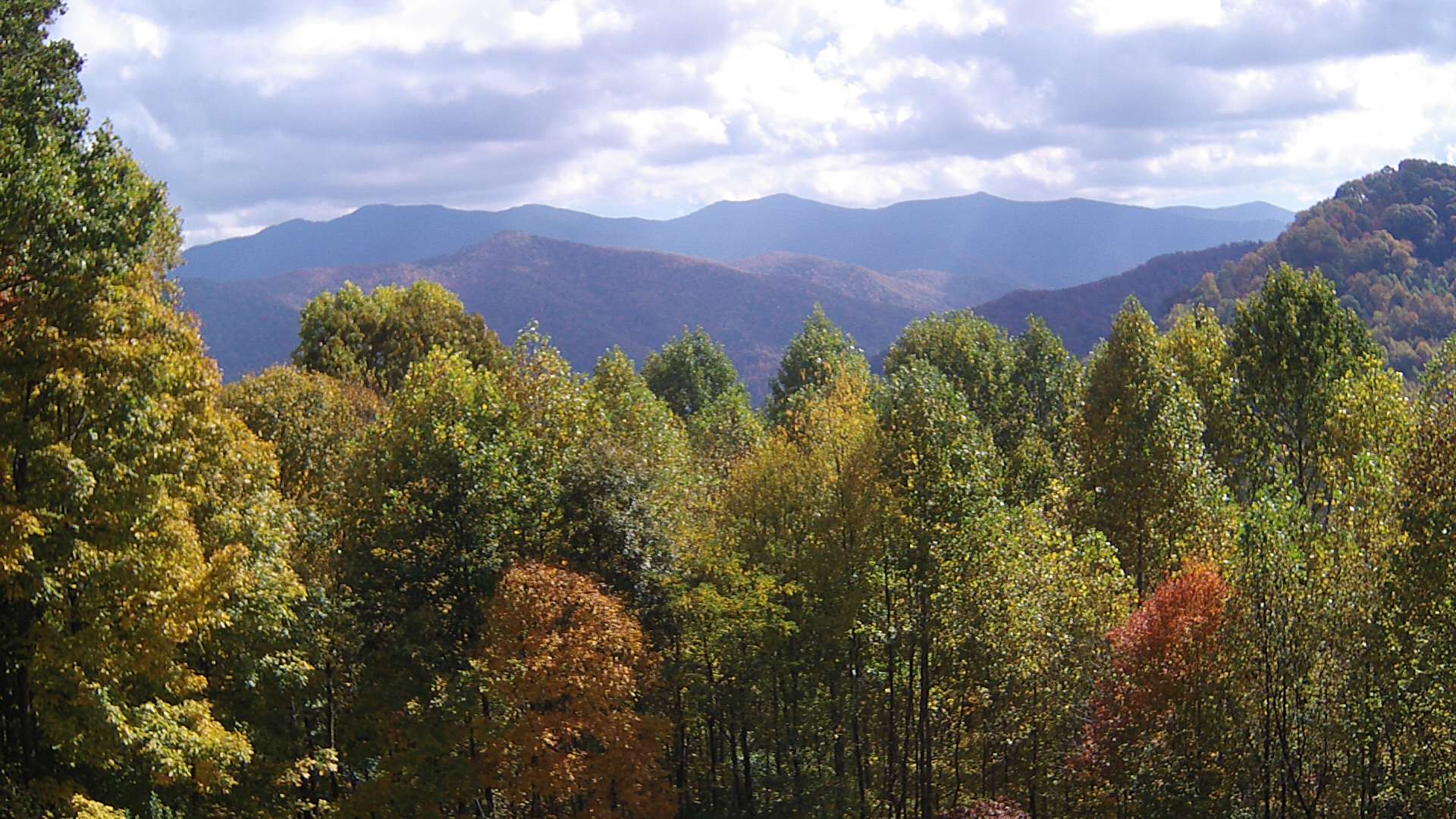 click for next image... slideshow image