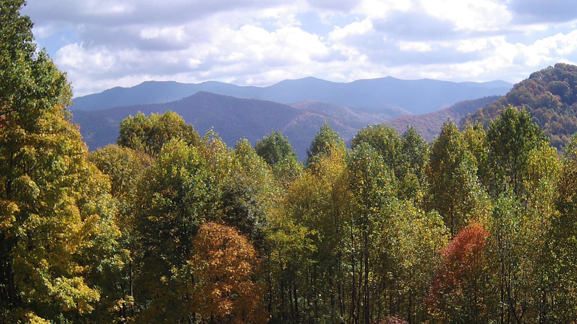 click for next image... slideshow image