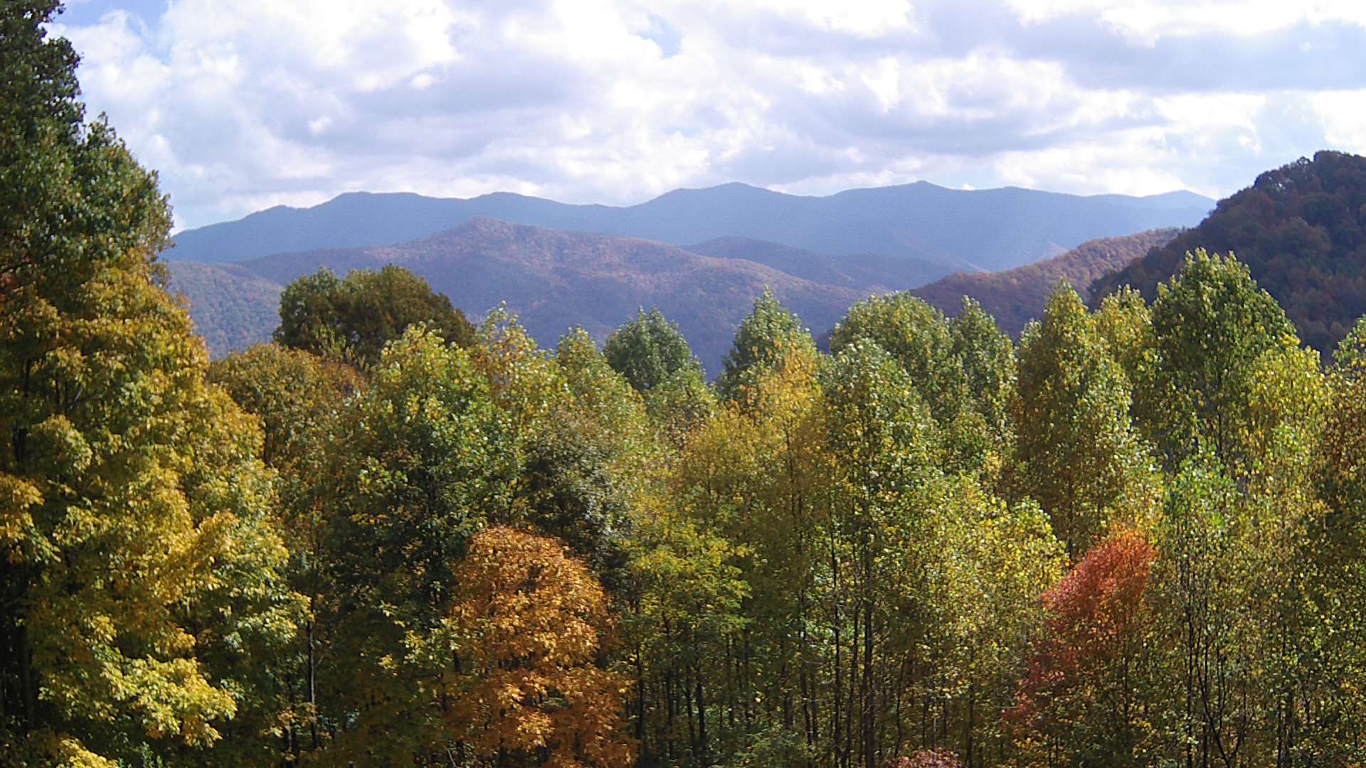 click for next image... slideshow image