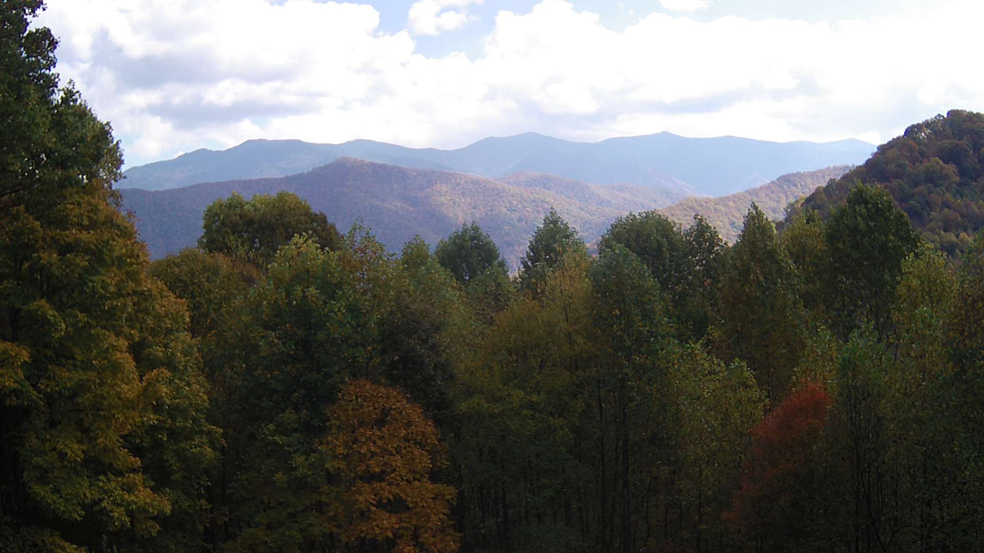 click for next image... slideshow image