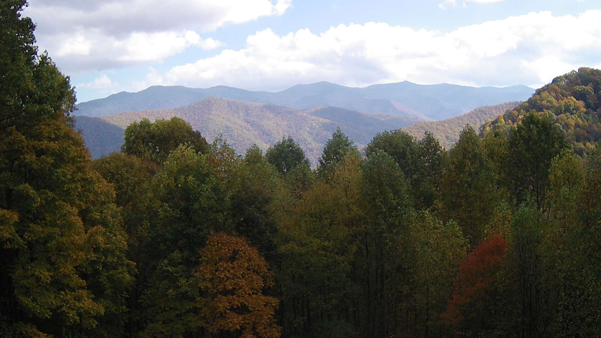 click for next image... slideshow image