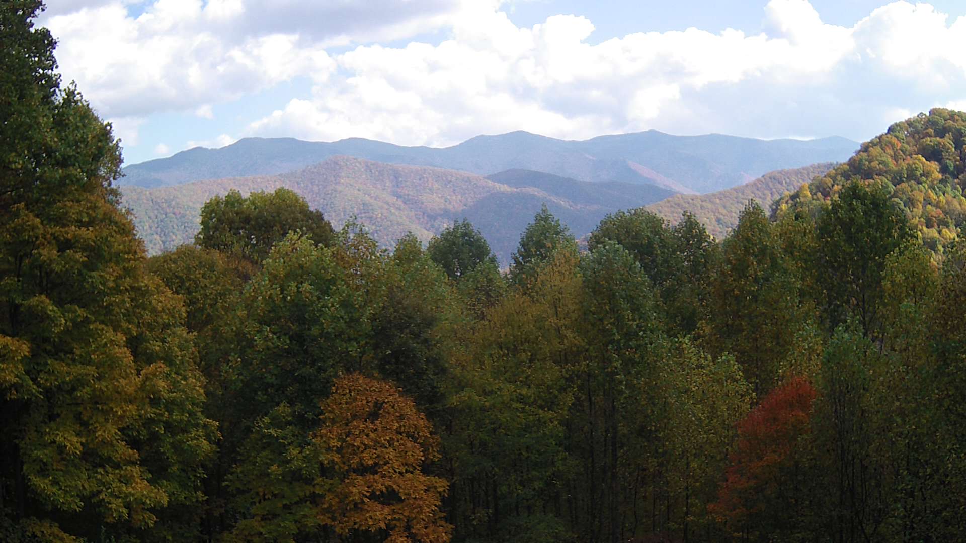 click for next image... slideshow image