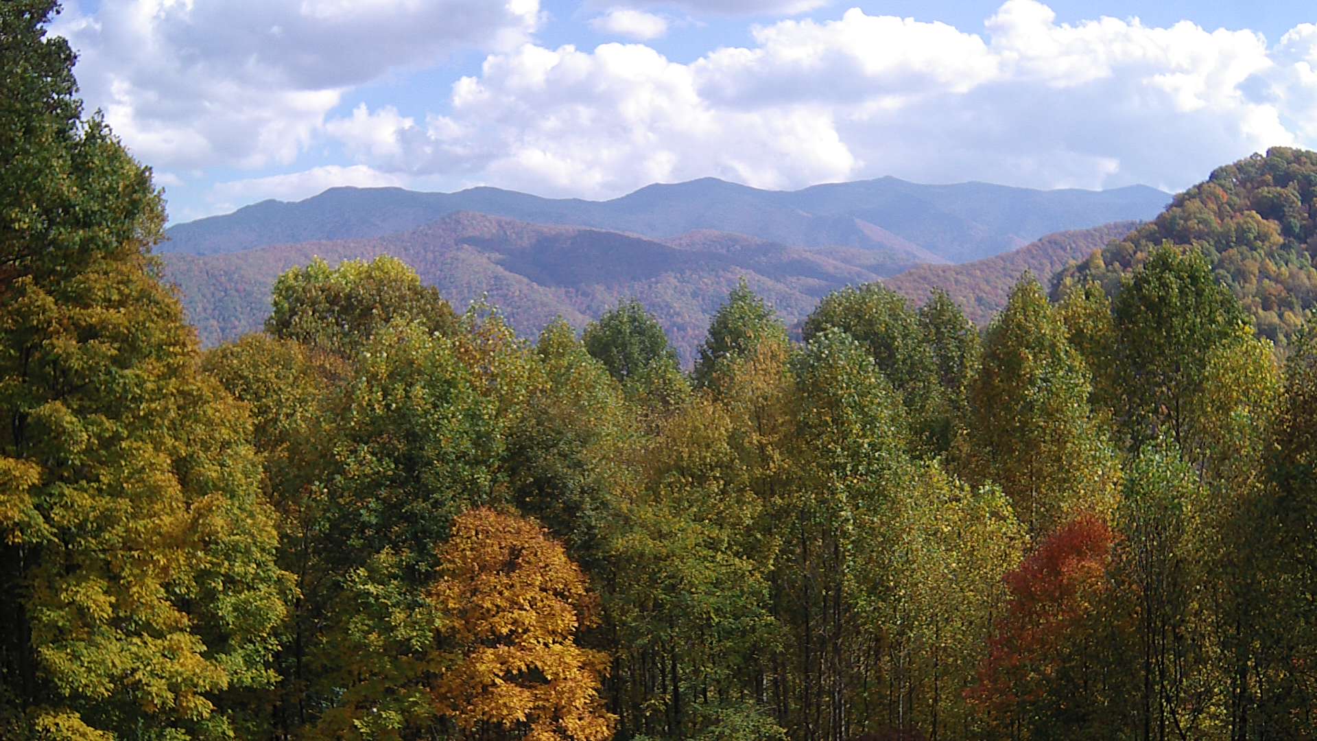 click for next image... slideshow image