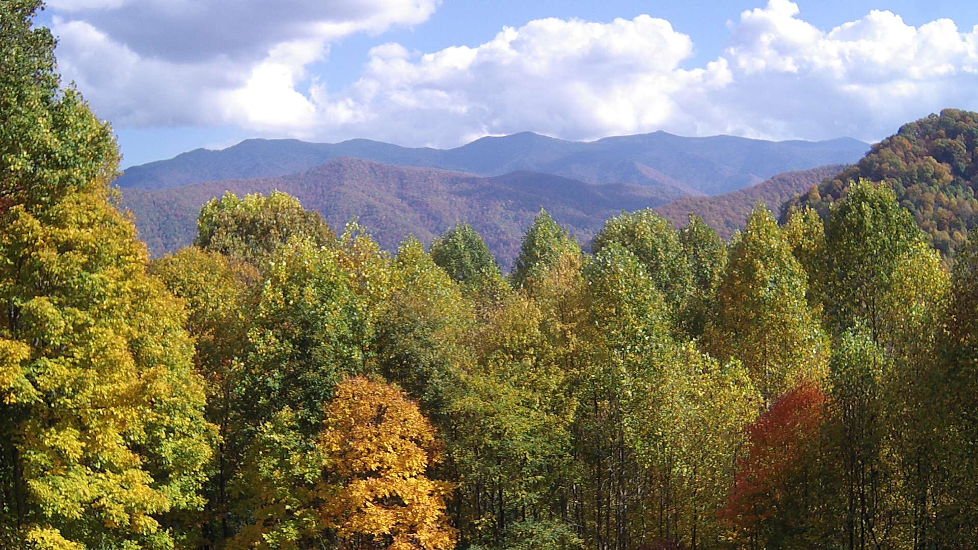 click for next image... slideshow image