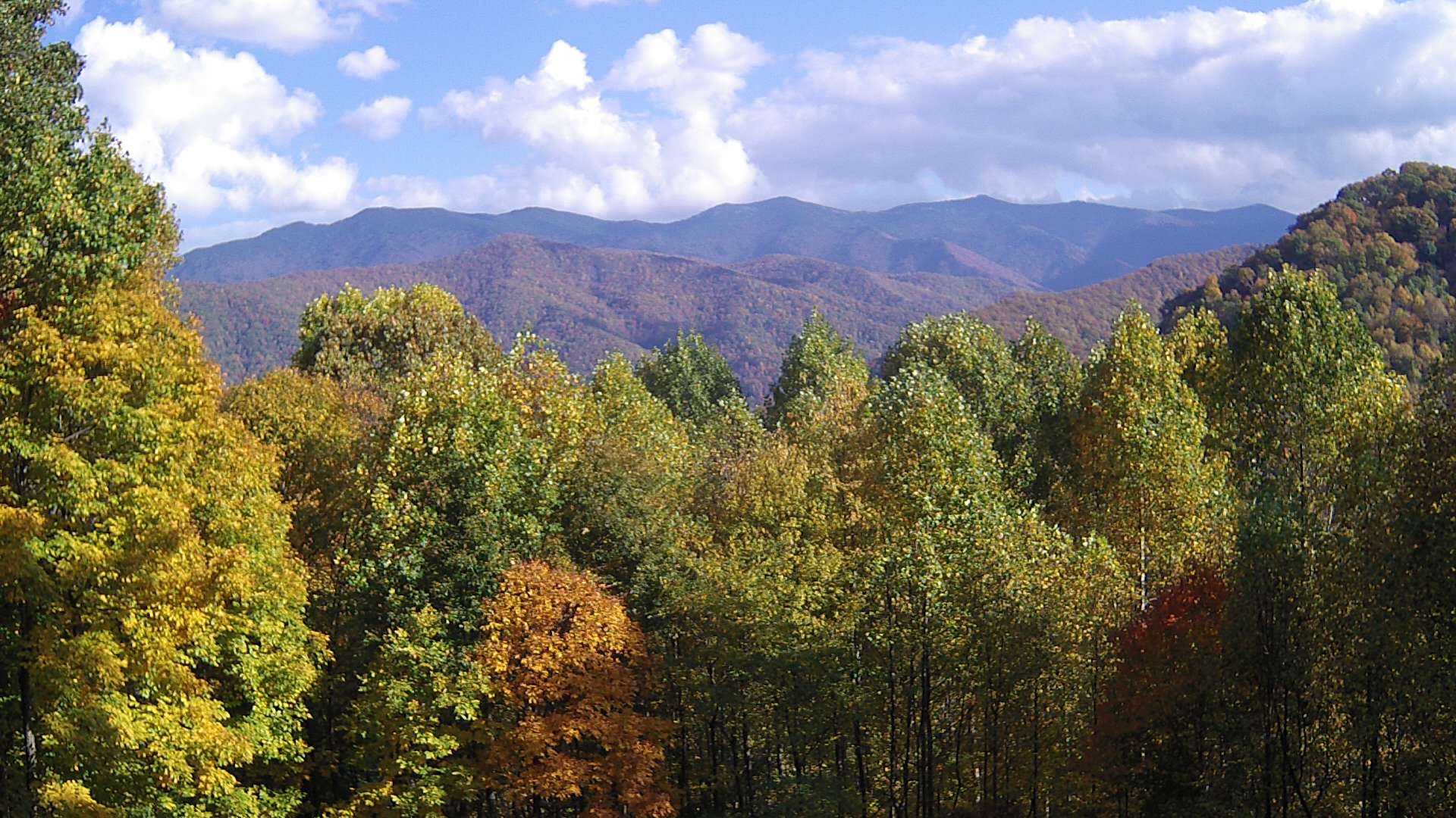 click for next image... slideshow image