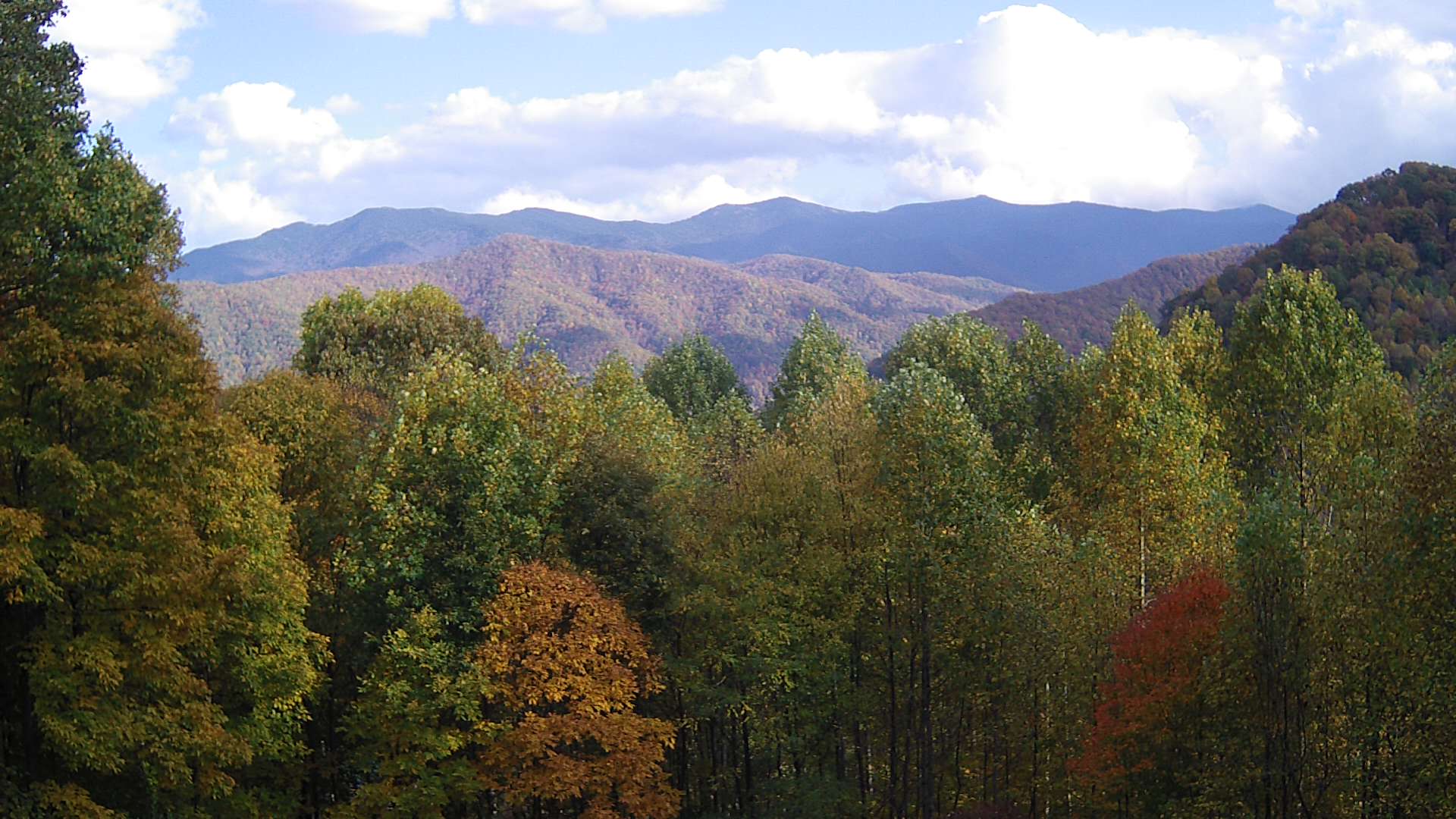 click for next image... slideshow image